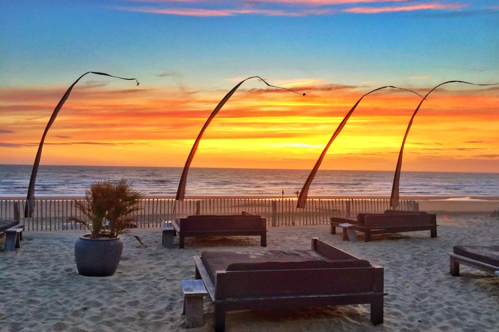 Sea Lodges Bloemendaal 3-Gebieden zomer 1km