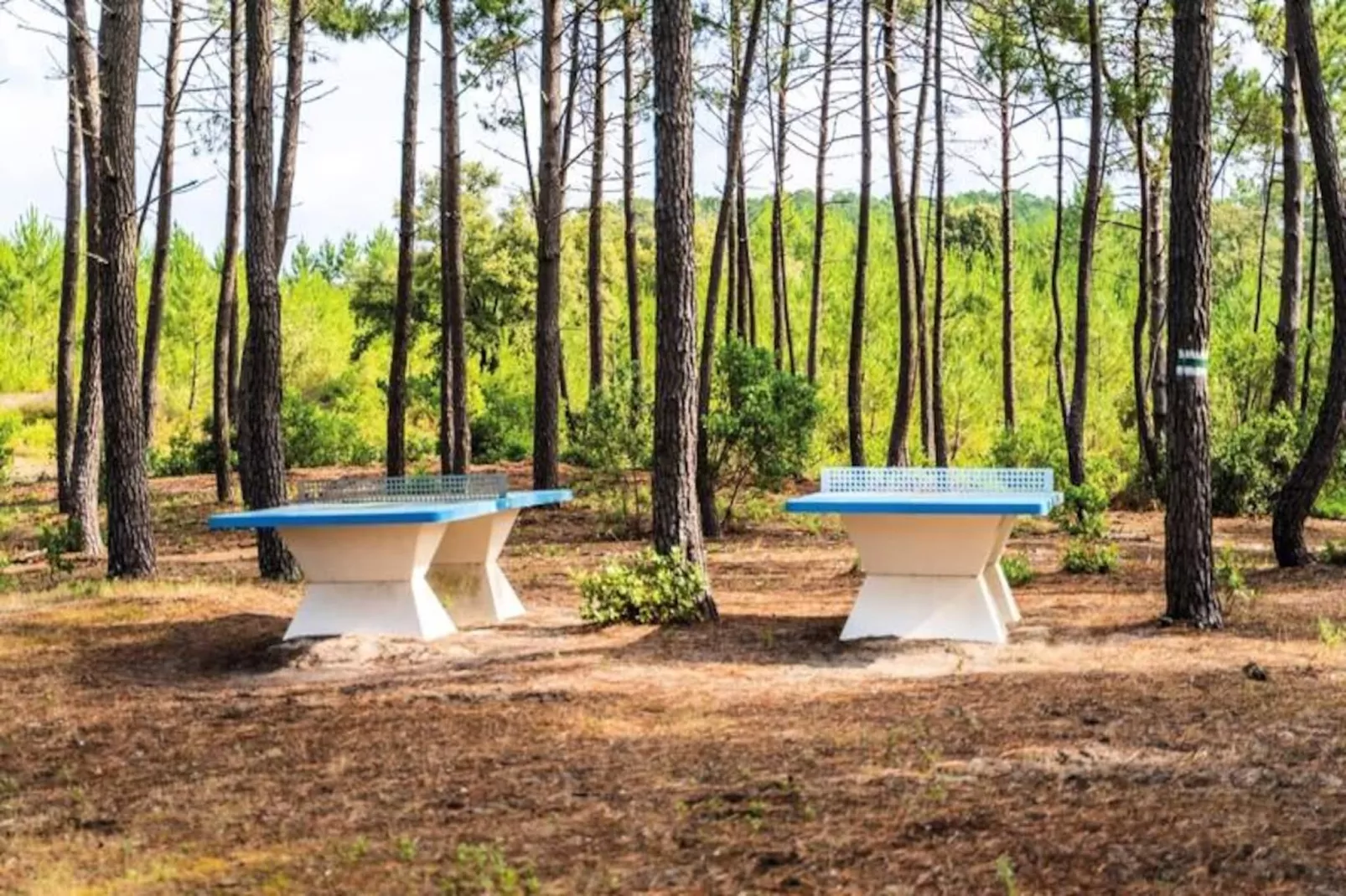 Résidence Domaine Les Cavales-Image-tags.