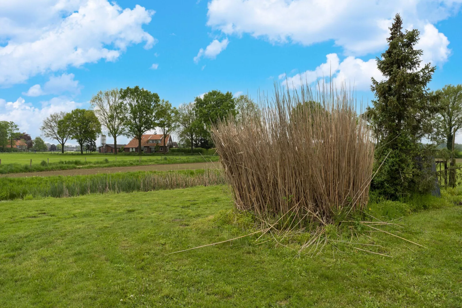 De stakenborg het voor- en achterhuis - Tuinen zomer