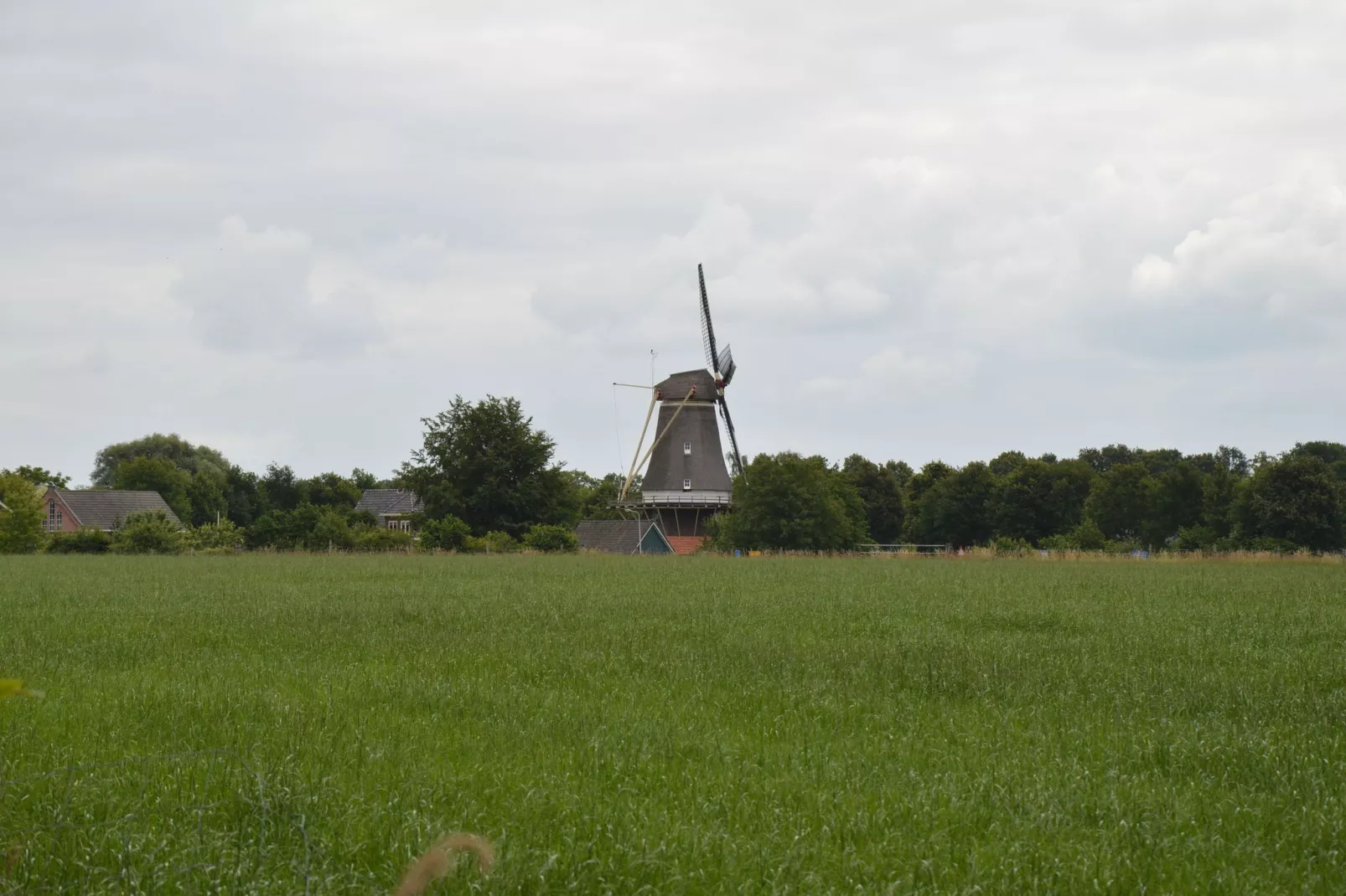 Dekenkist-Gebieden zomer 20km