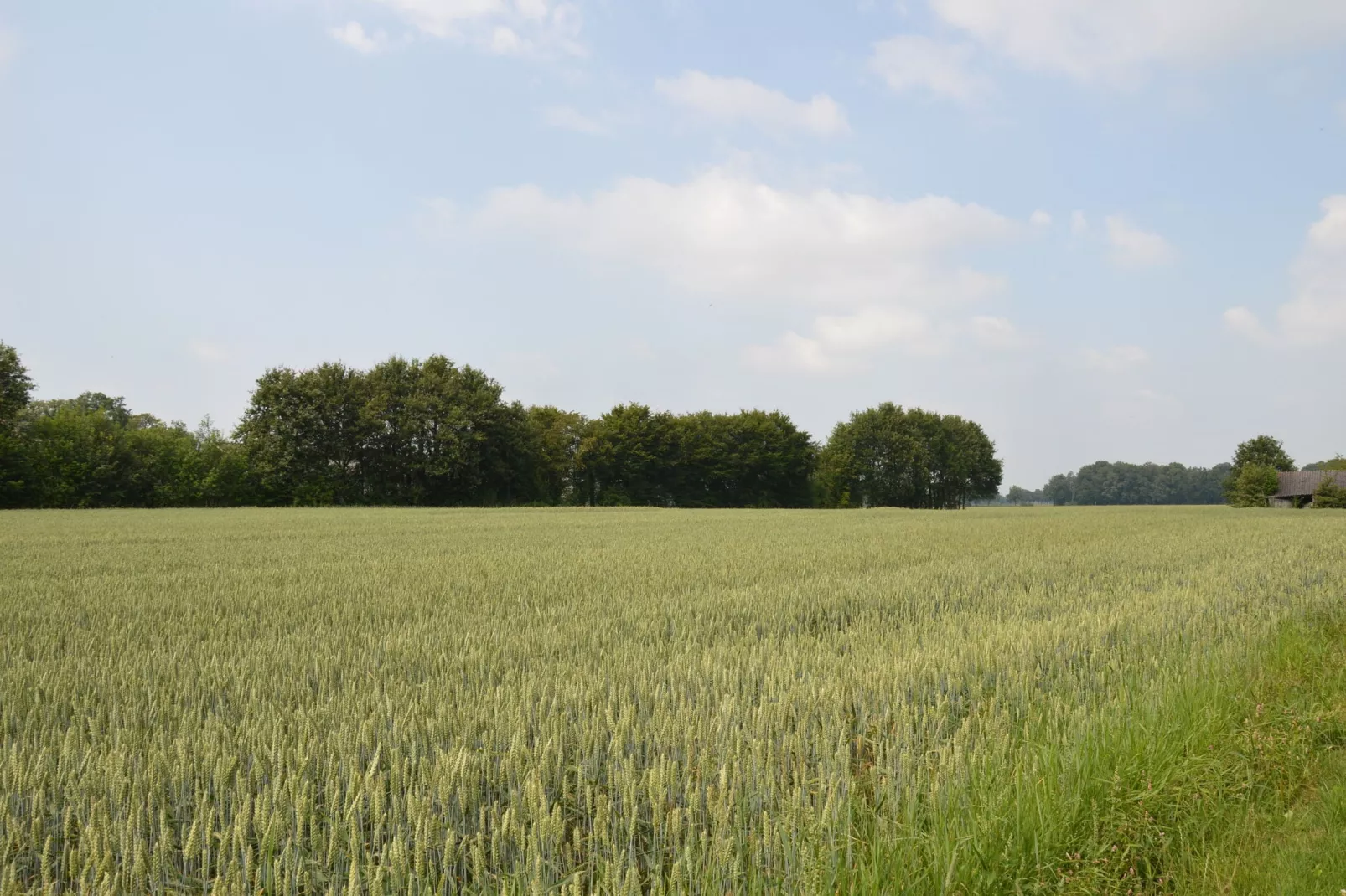 Kabinet-Uitzicht zomer