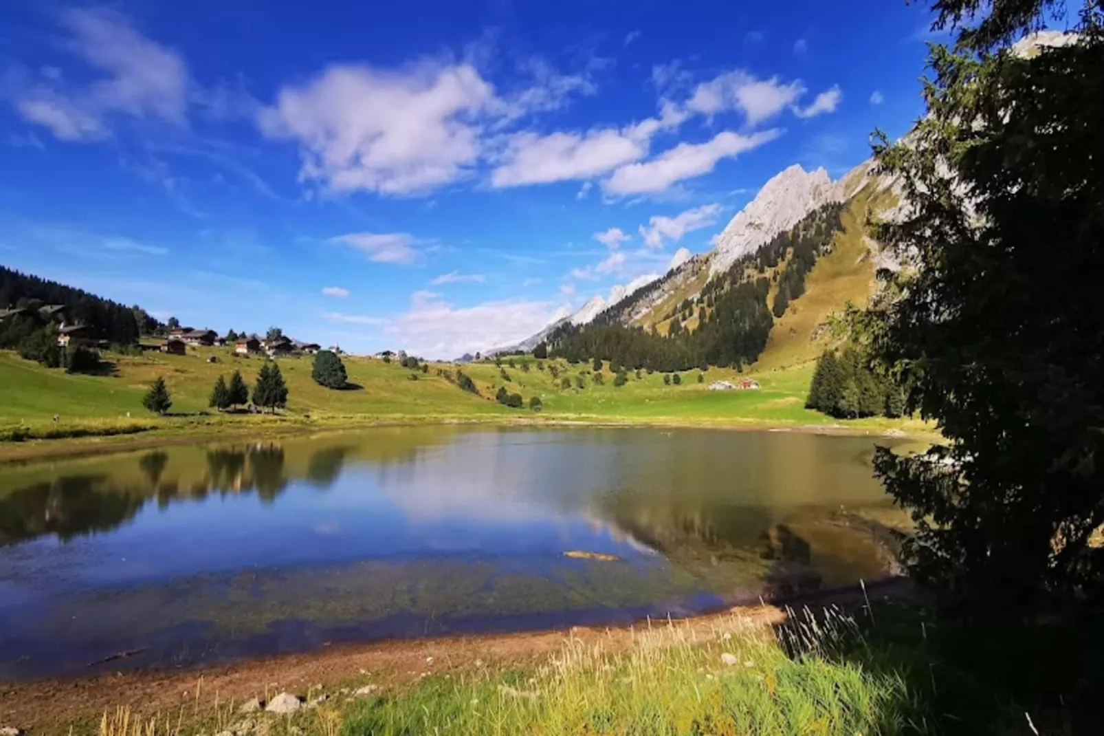 Résidence Bossonnet-Gebieden zomer 5km