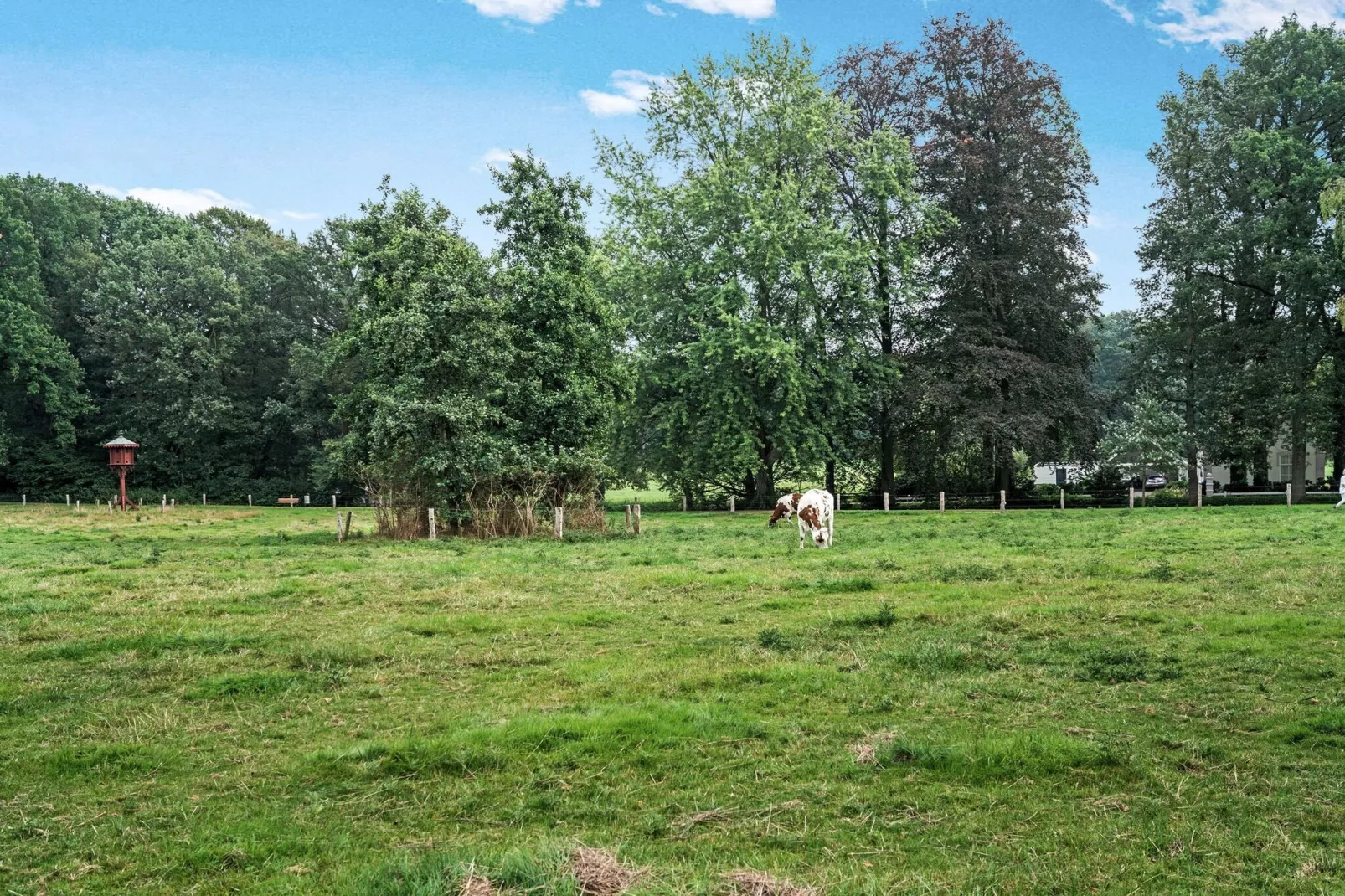 Park Kalheupink Oldenzaal-Gebieden zomer 1km