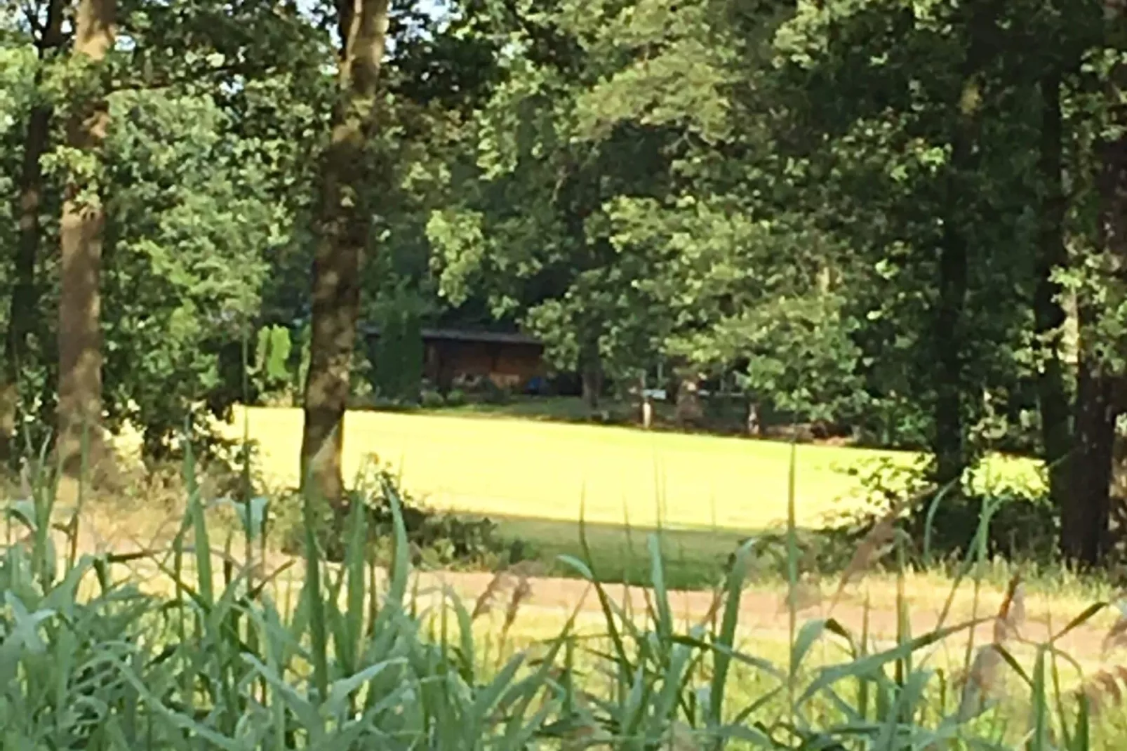 Oarich Trechte-Uitzicht zomer