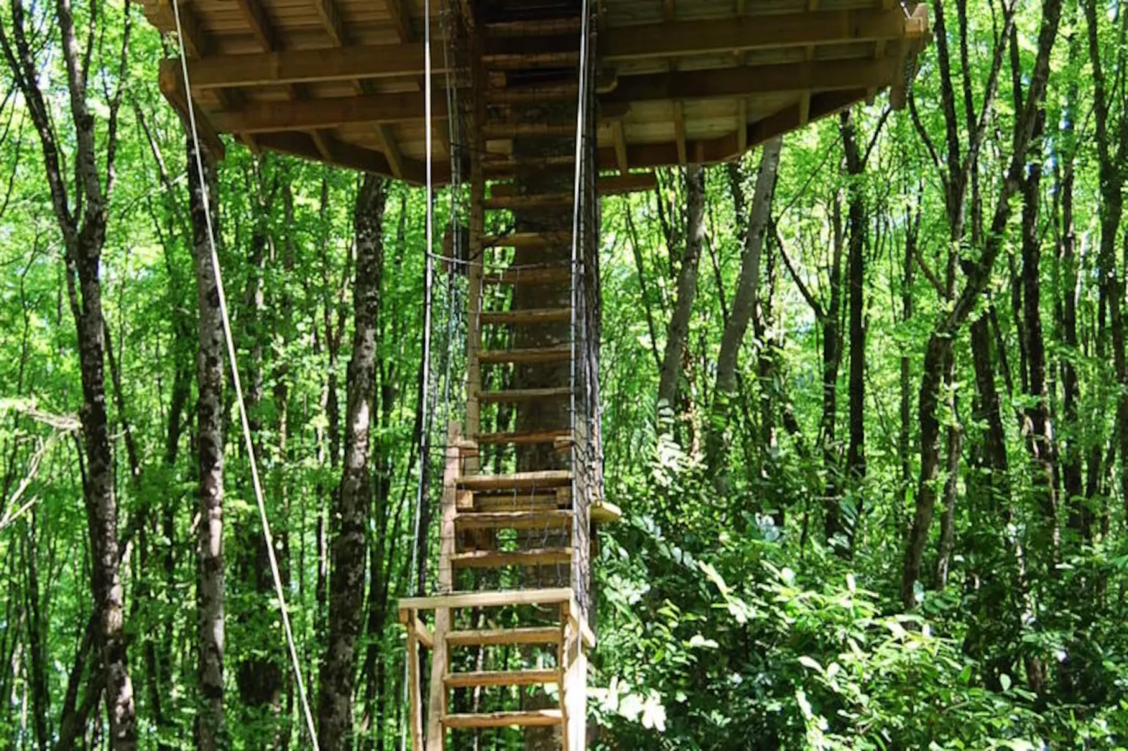 Parc de la Belle-Image-tags.