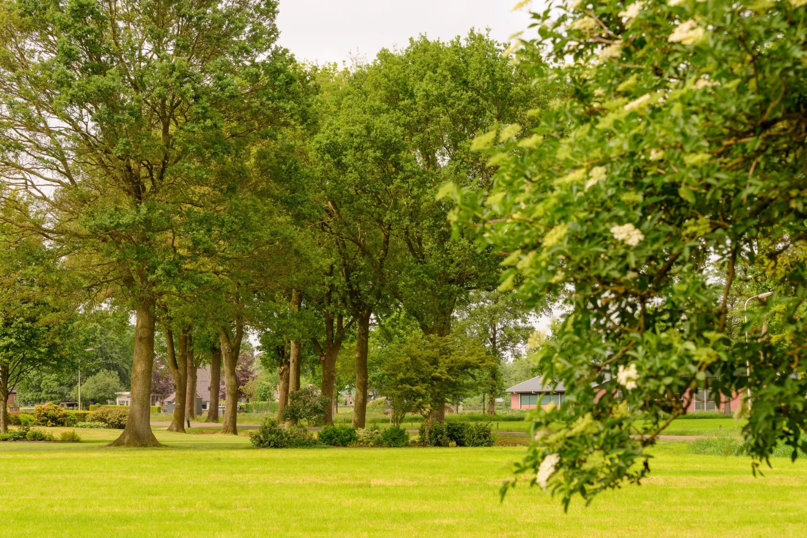 De Merel-Gebieden zomer 1km