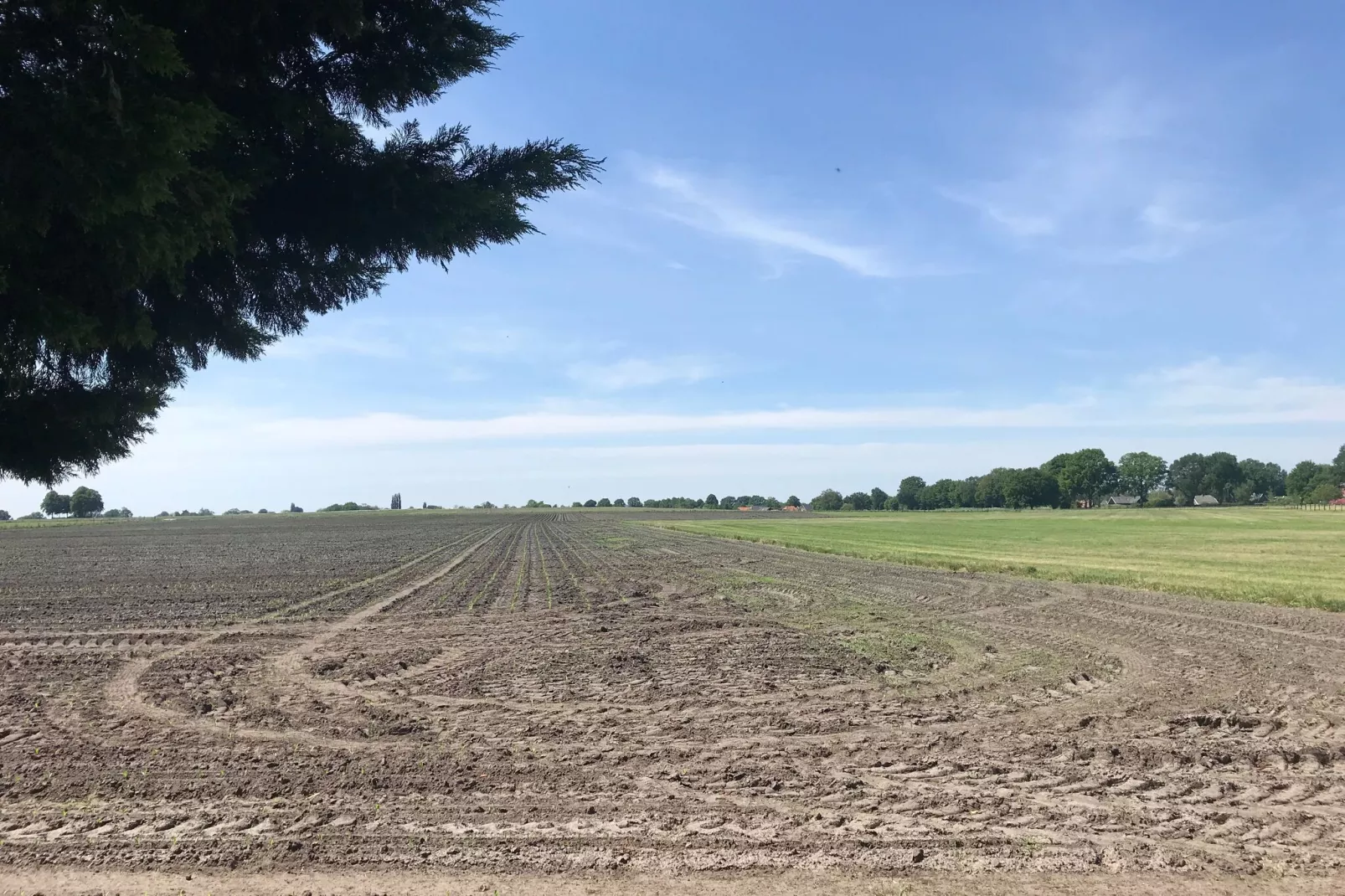 De Merel-Gebieden zomer 1km