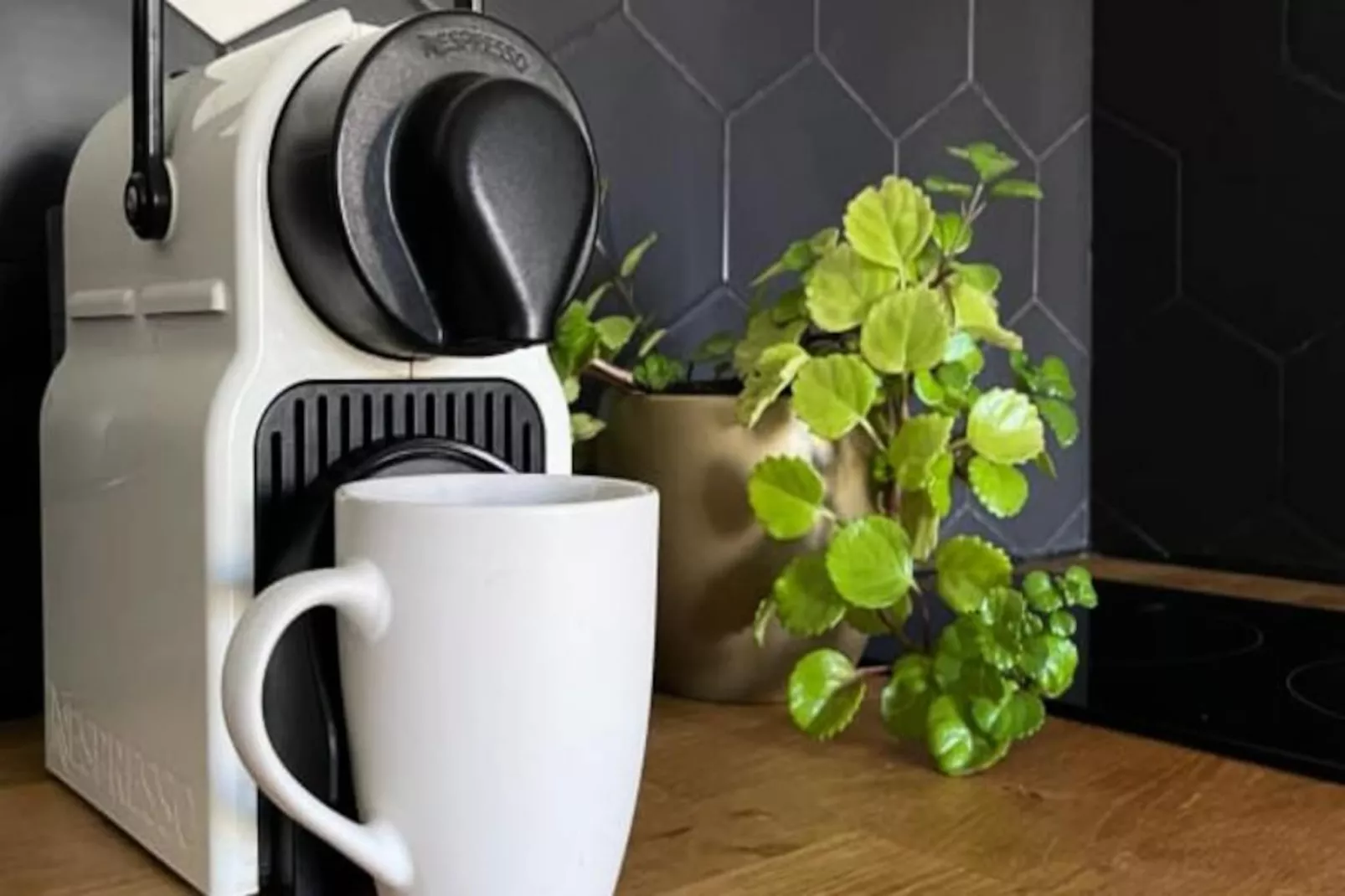 Les Toits De L'argenterie - Image-tags.