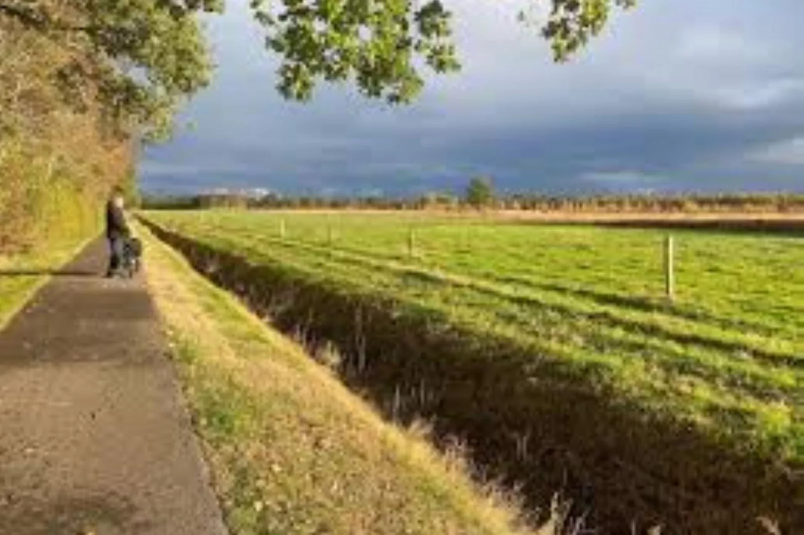 Natuurlodge Tureluur-Gebieden zomer 1km