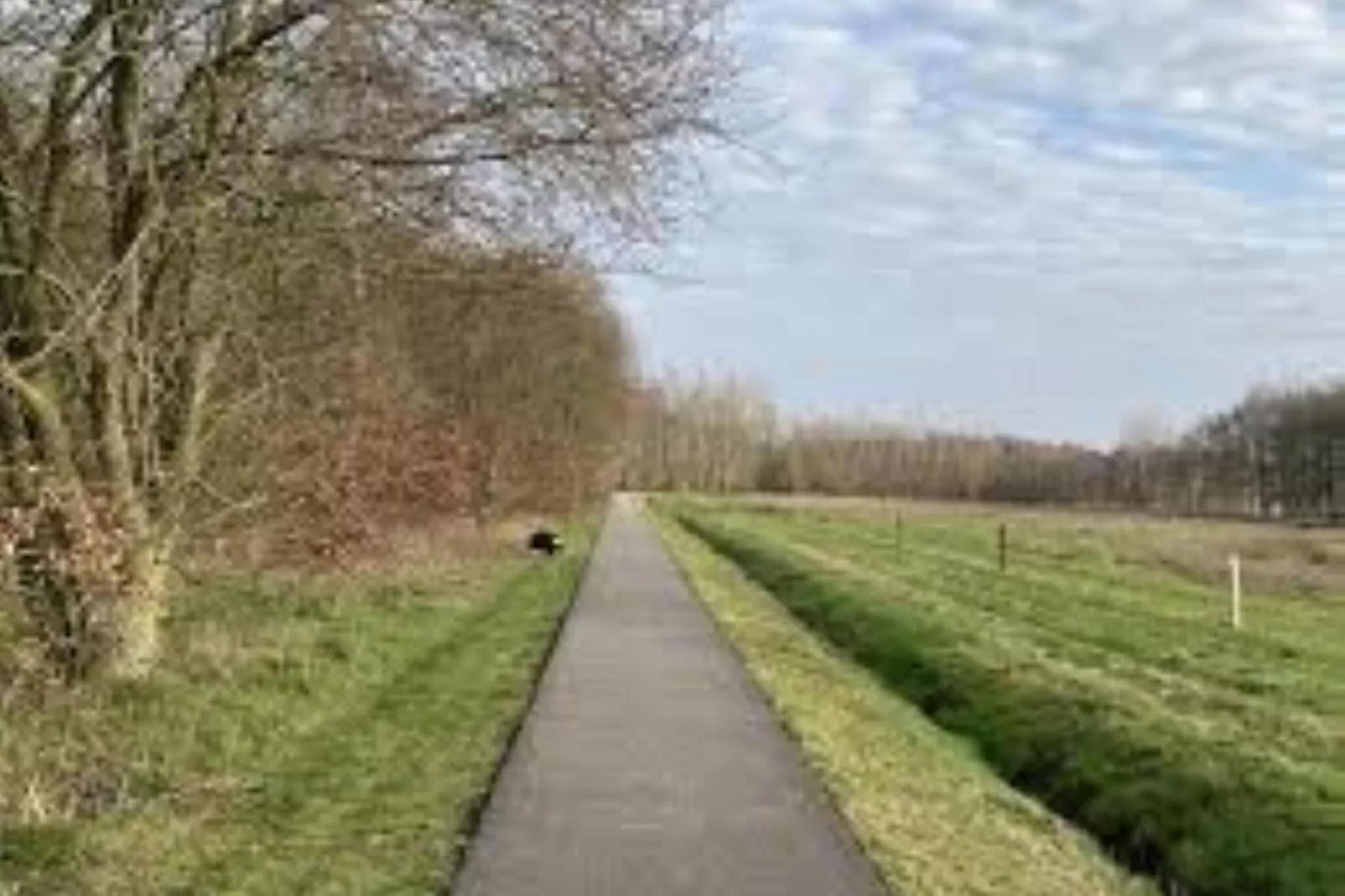 Natuurlodge de Wulp-Gebieden zomer 1km