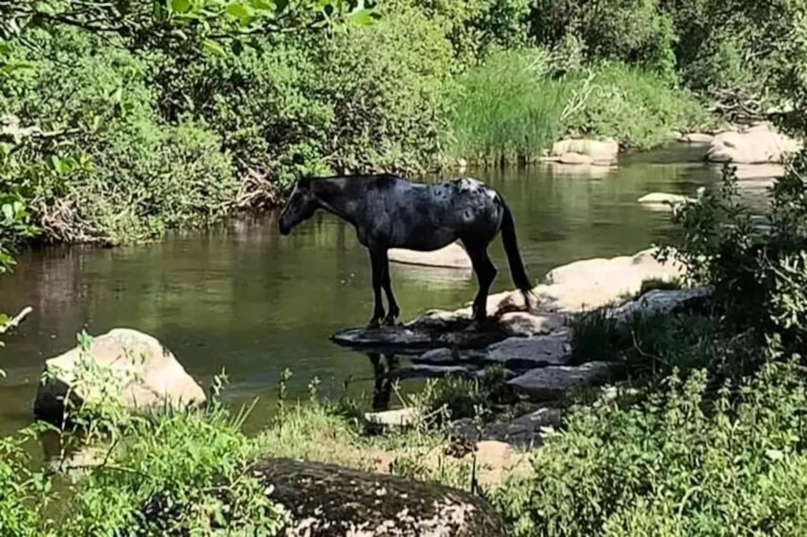Gîte de France Le bes, à la chaldette 3 épis-Image-tags.