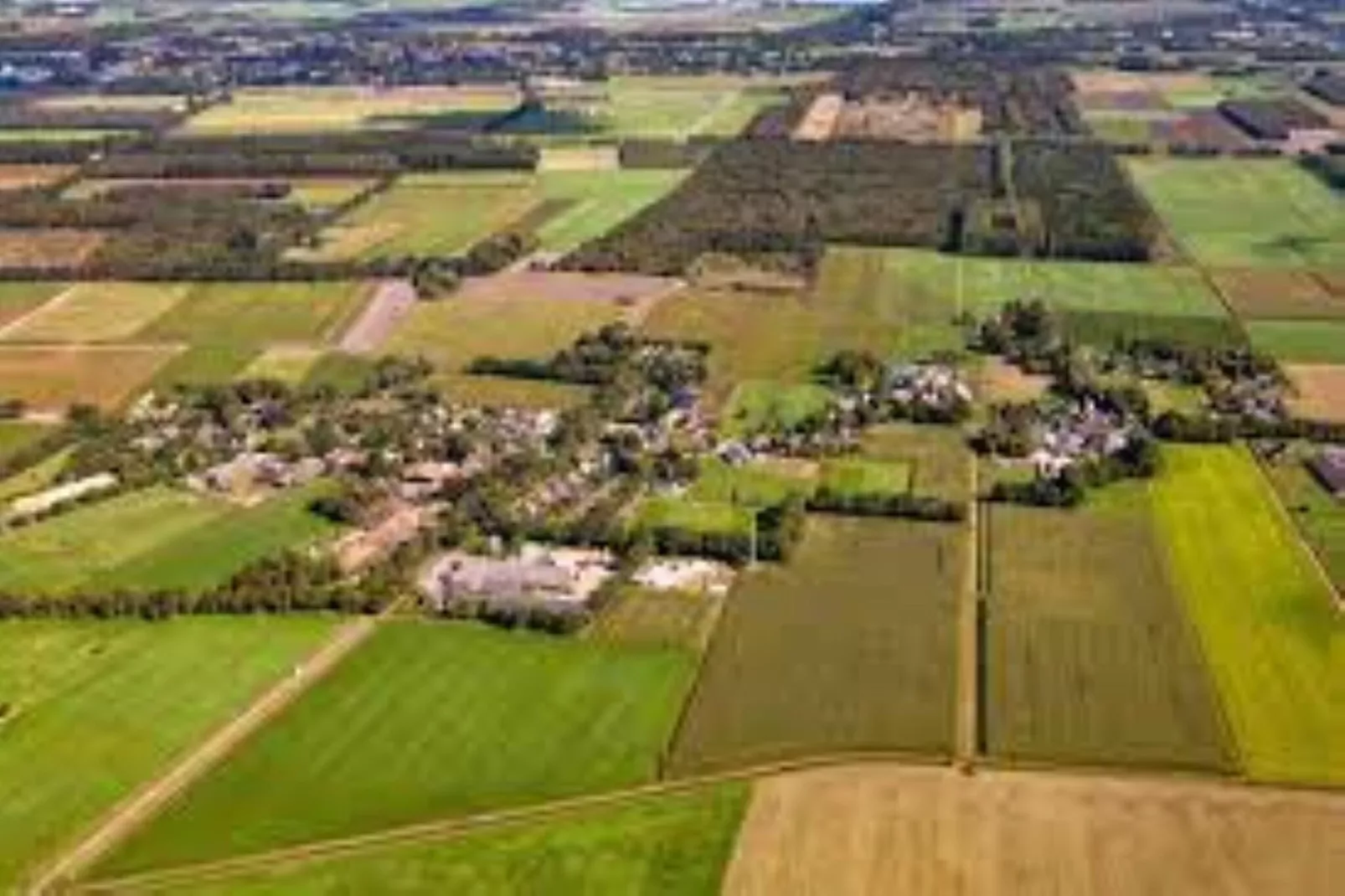 Vogelspotlodge Scholekster-Gebieden zomer 5km