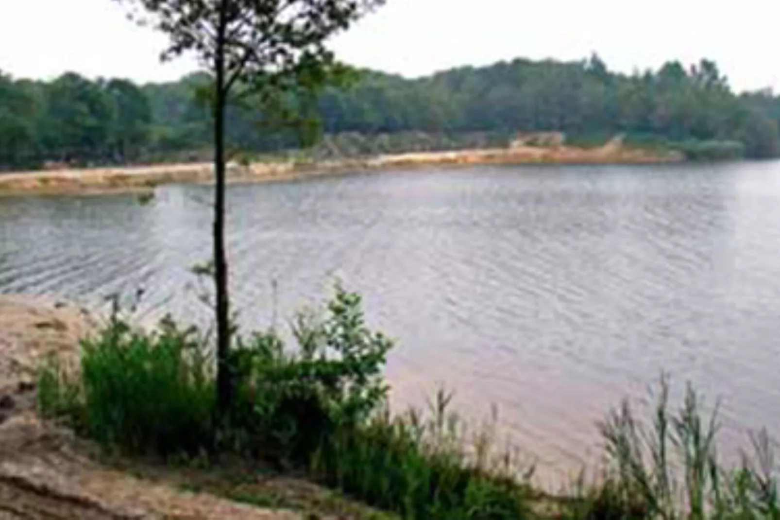 Vogelspotlodge Scholekster-Gebieden zomer 5km