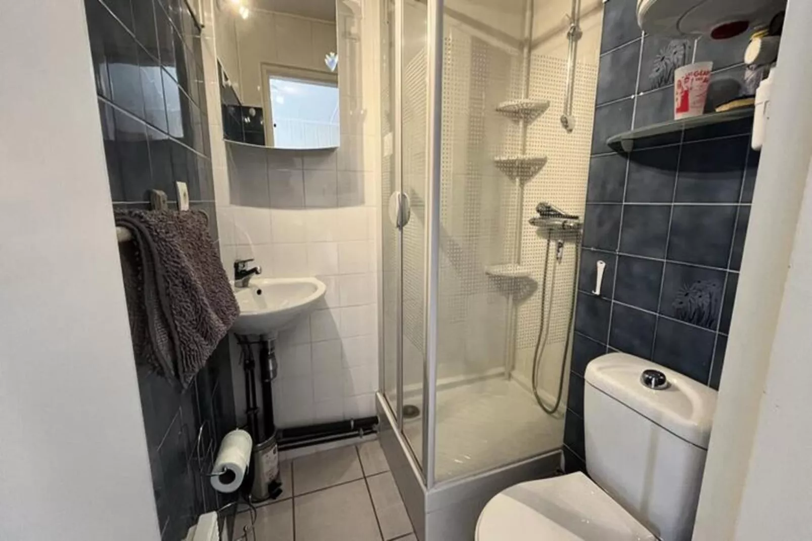 Résidence Le Grand Tétras-Buitenkant zomer