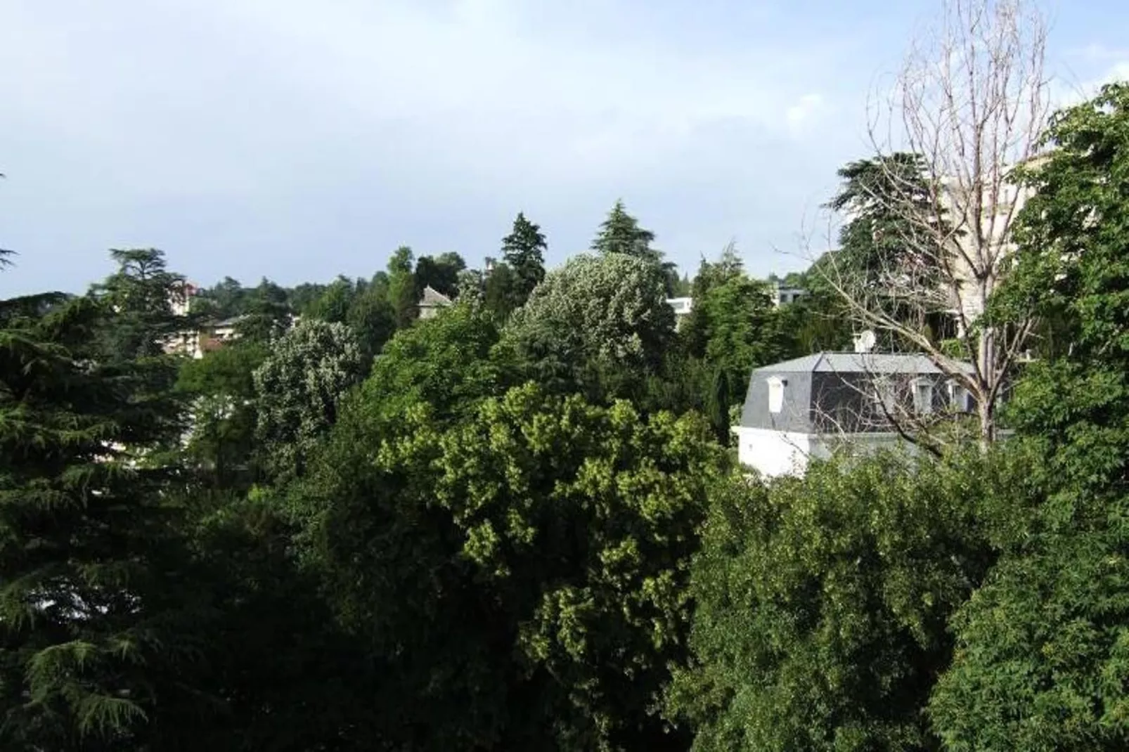 Residence Albion-Gebieden zomer 1km