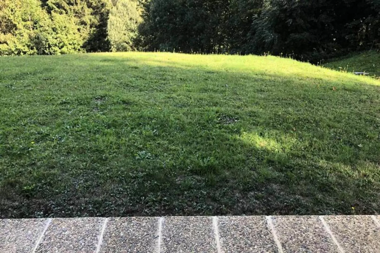 Résidence Les Planes-Buitenkant zomer