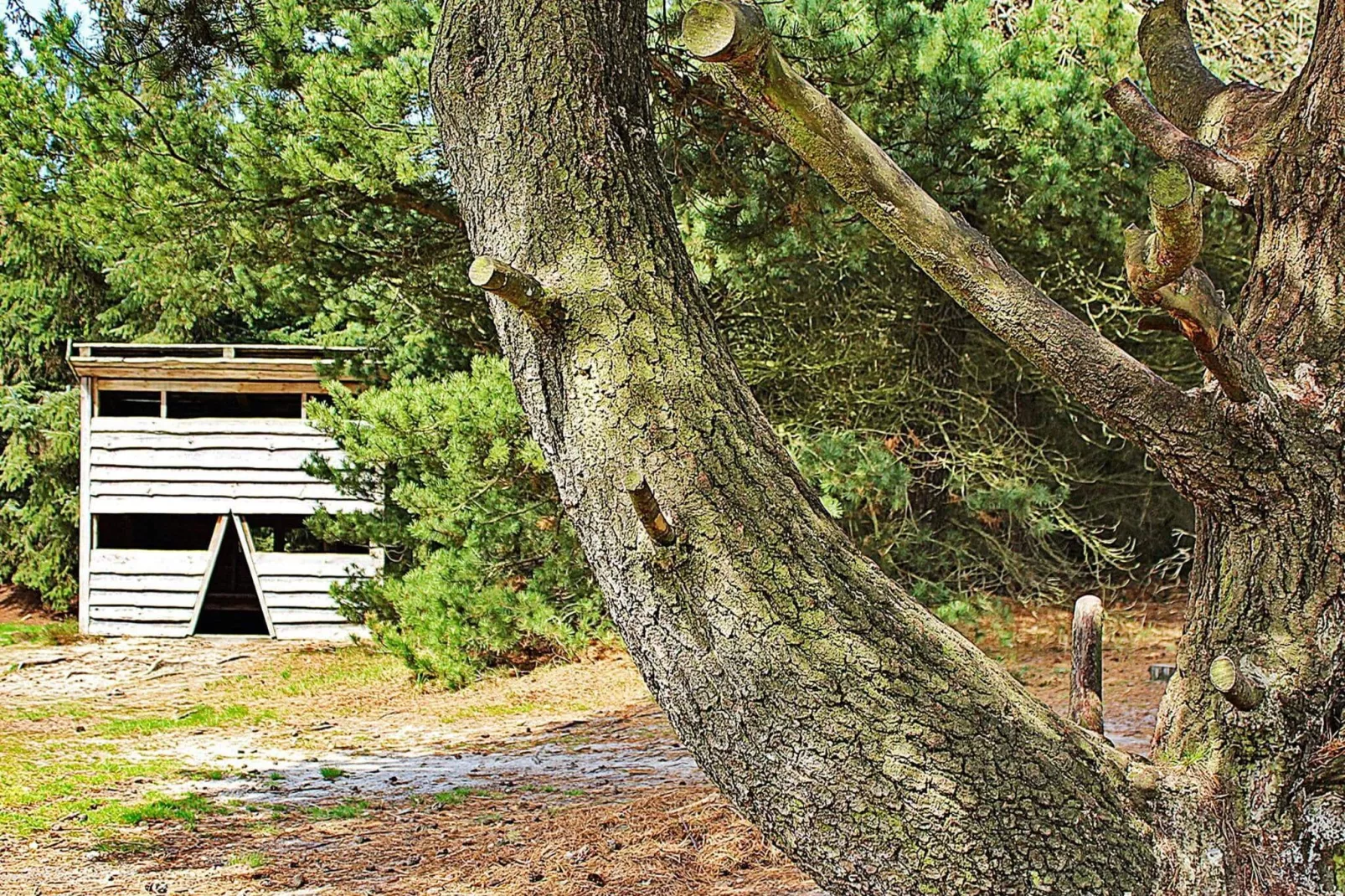 7 persoons vakantie huis in Ulfborg-By Traum-Uitzicht
