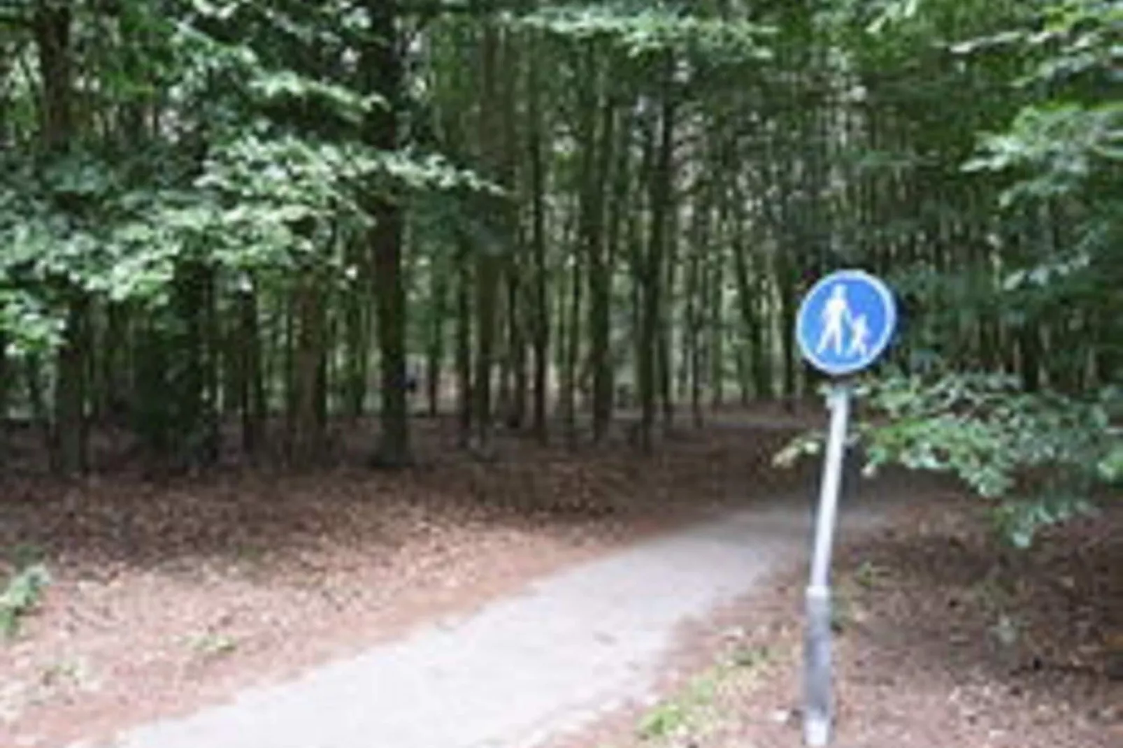 Chalet Vrijzicht-Gebieden zomer 1km