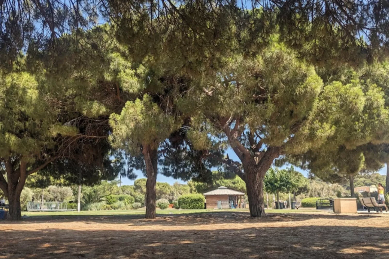 Résidence Tamaris Bay-Buitenkant zomer