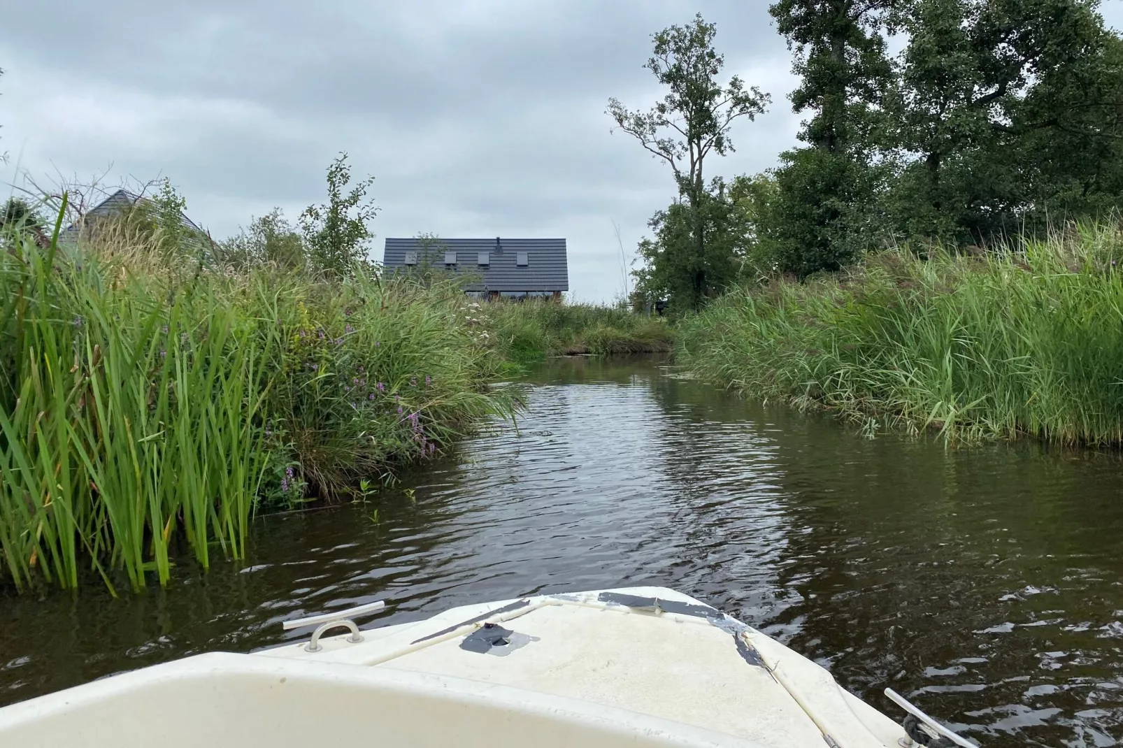 Landhuis Alde Feanen-Tuinen zomer