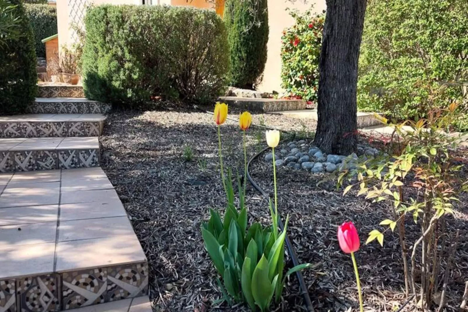 Résidence Parc Golf Esterel - maeva Home-Niet-getagd