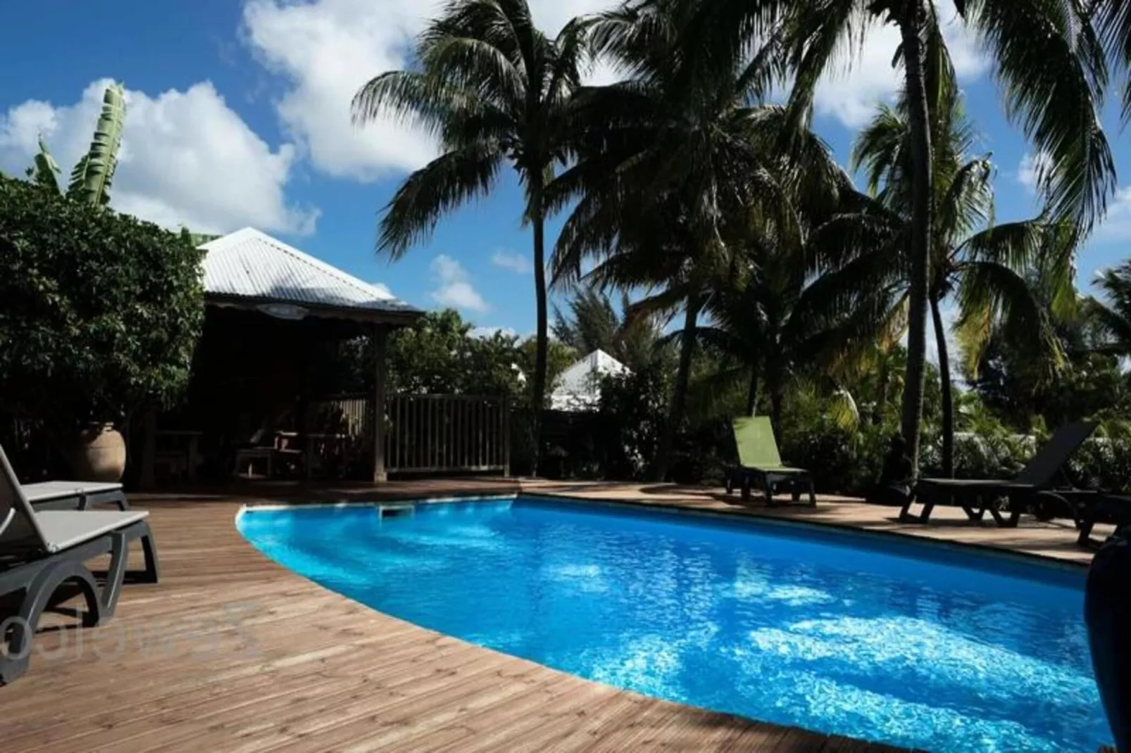 Bungalow Palm-Buitenkant zomer