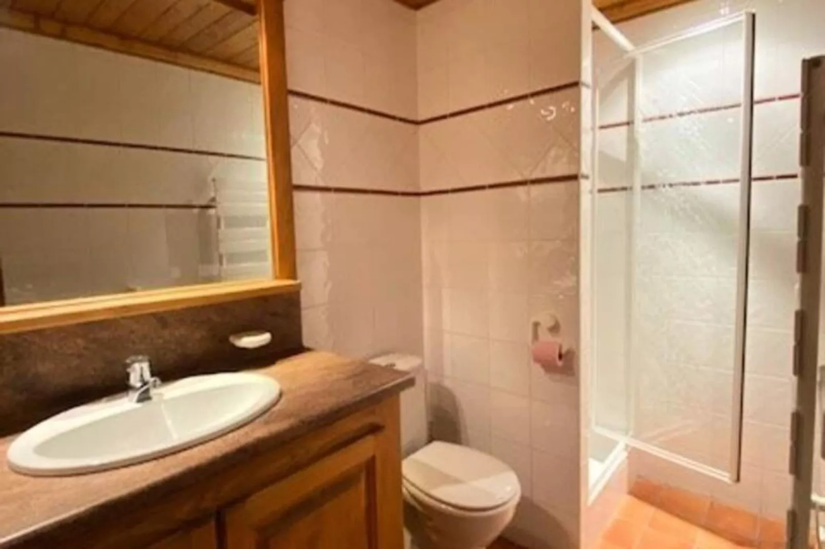 Résidence Alpina Lodge-Badkamer