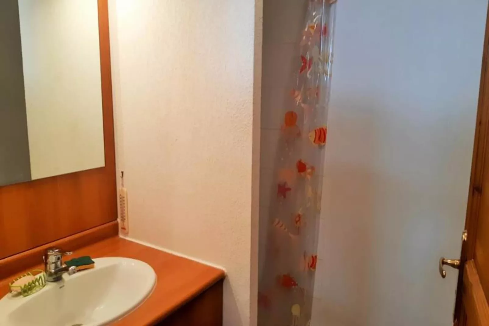 Résidence Balcon Des Pistes C-Badkamer