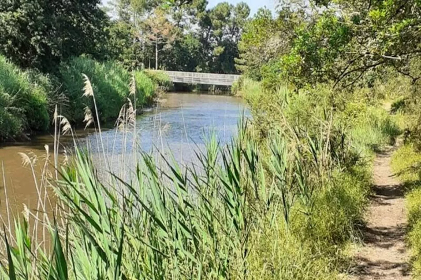 Résidence Paradise Ocean-Image-tags.