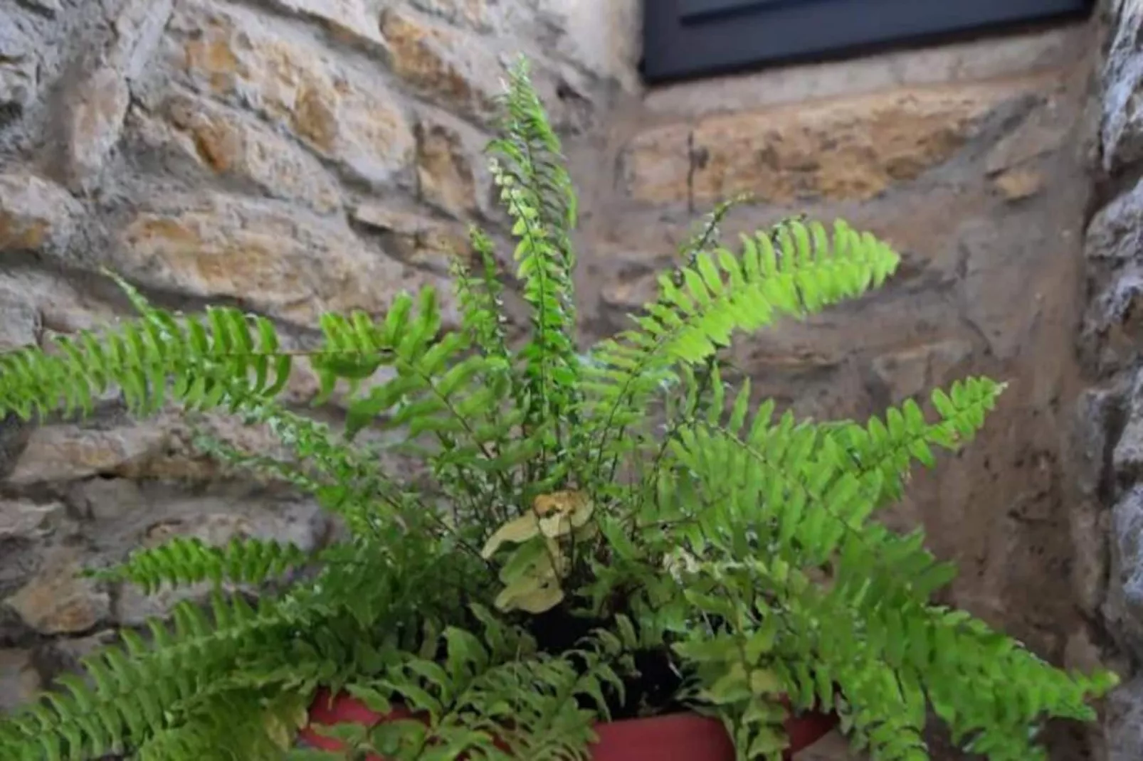 Gîte de France La lauze de marijoulet 2/4 personnes 3 épis-Image-tags.