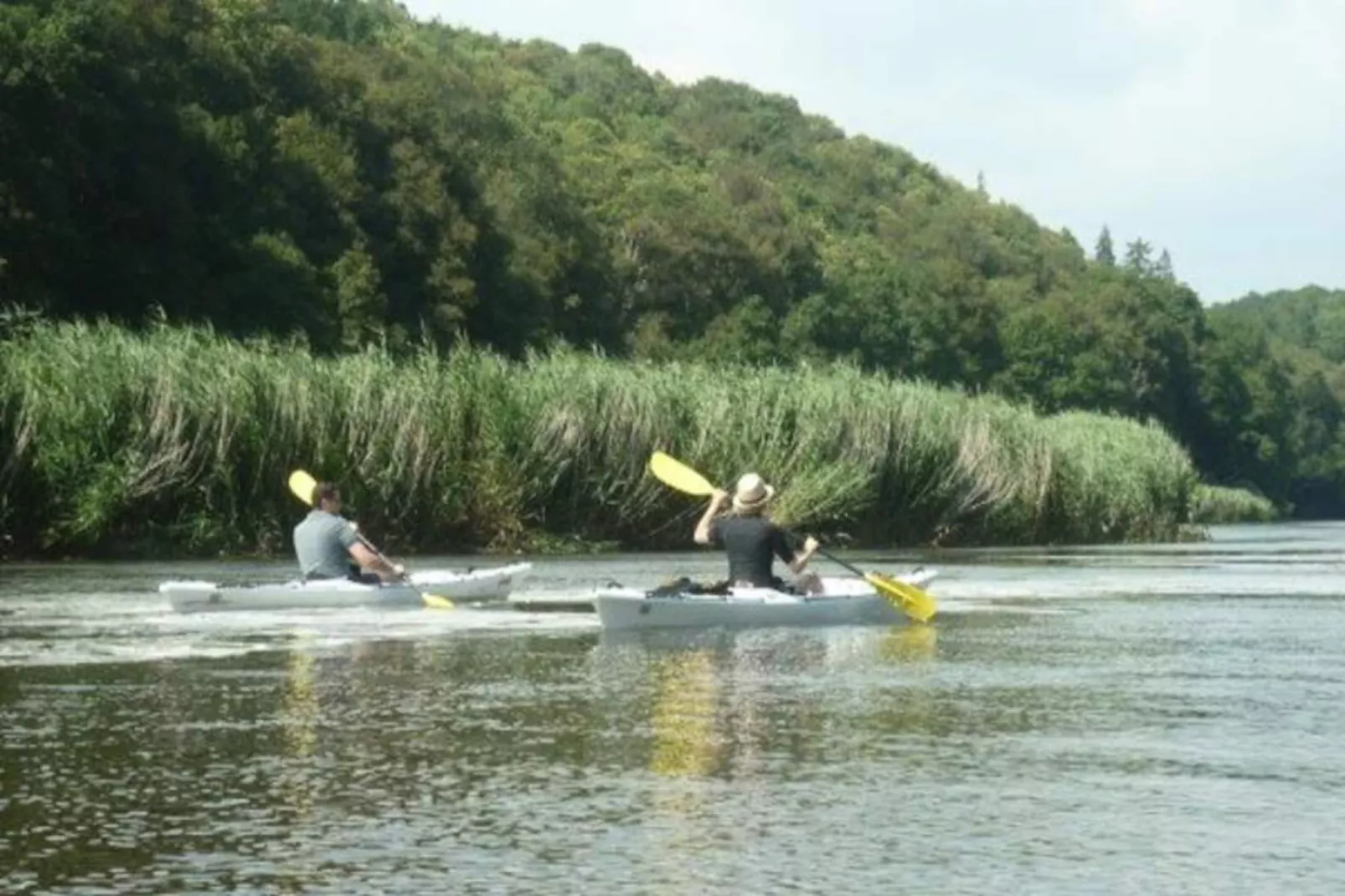 Résidence Les Mégalithes-Image-tags.