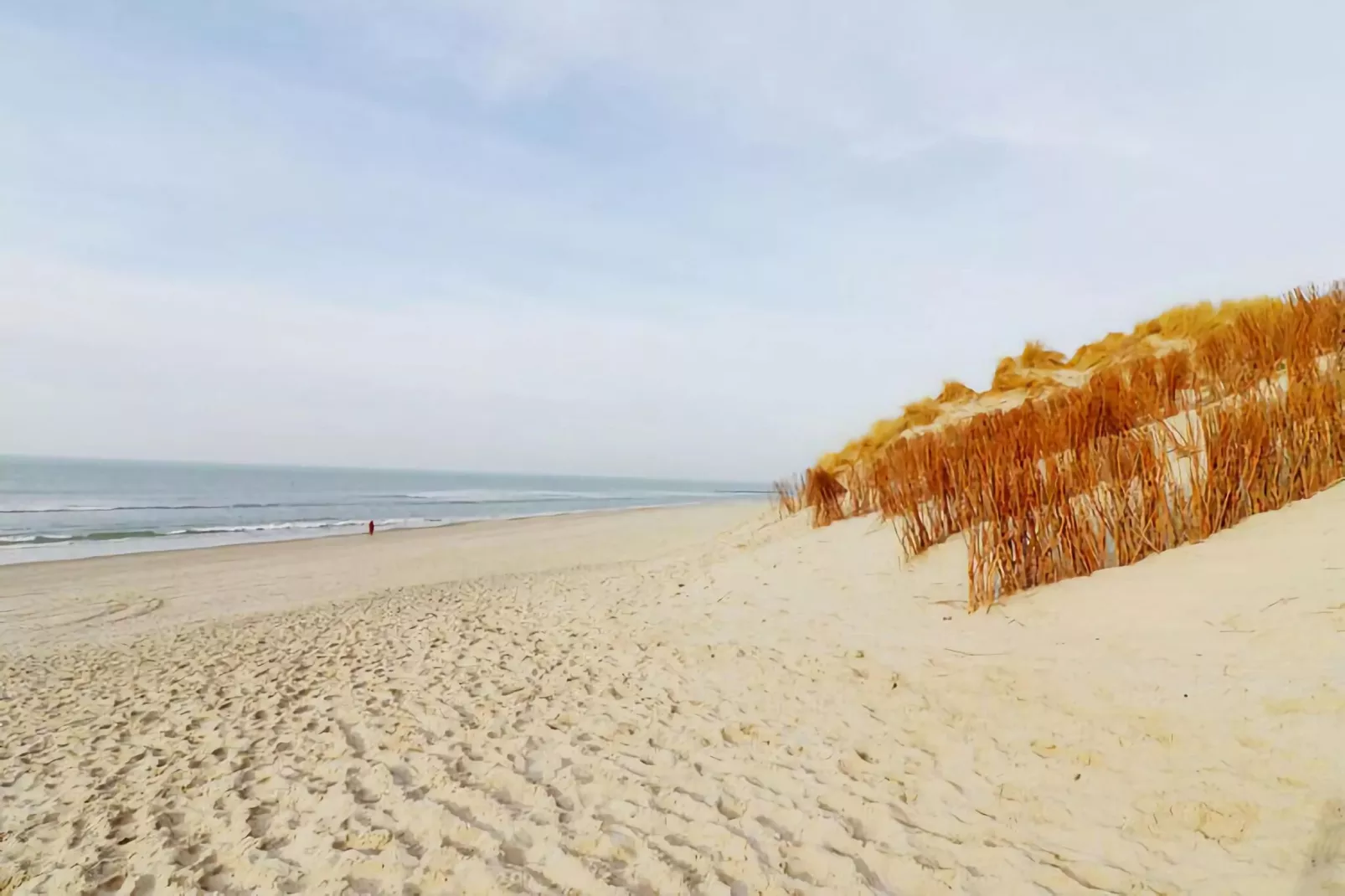 Duinchalet C140-Gebieden zomer 5km