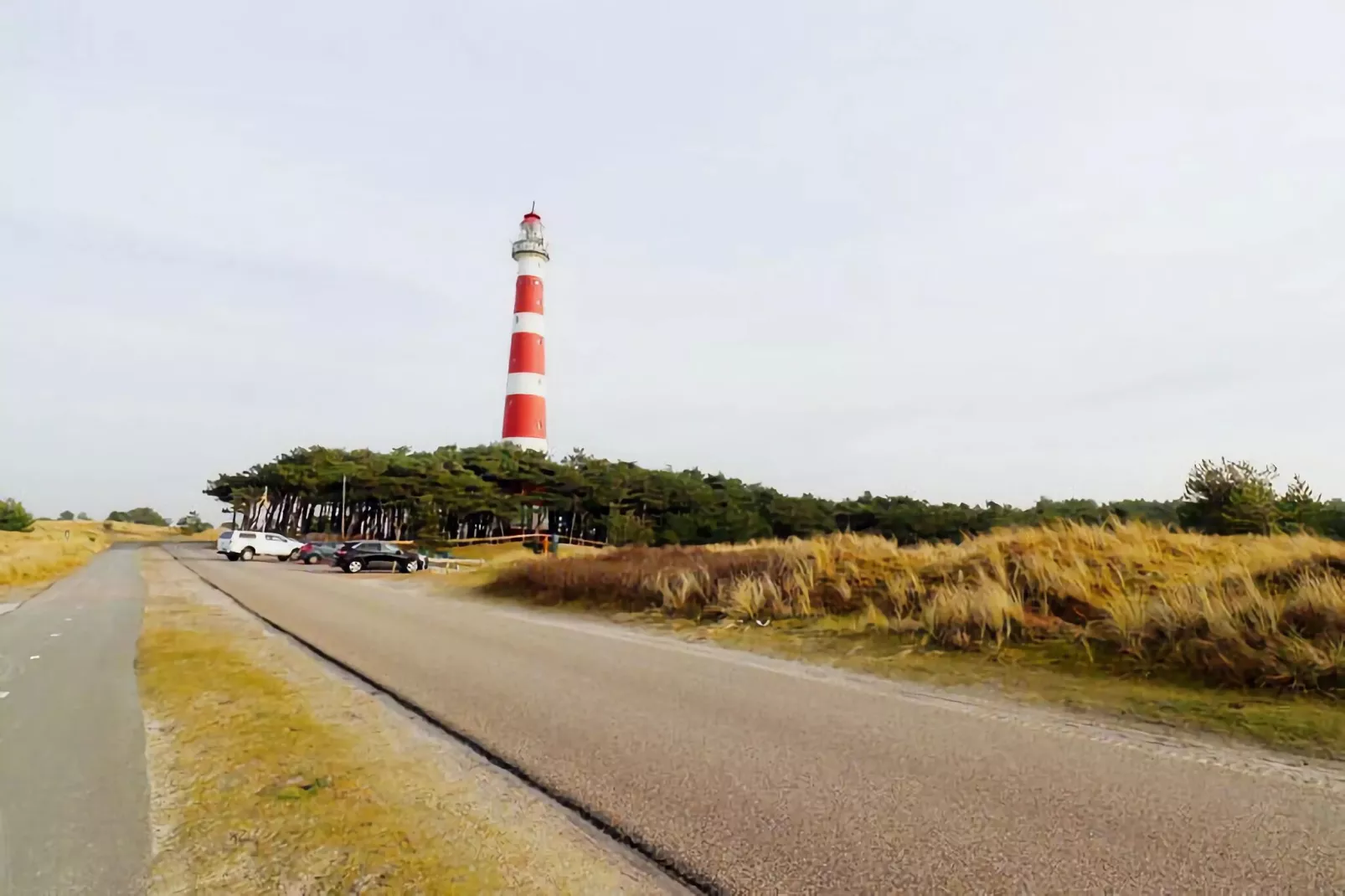 Duinchalet C140-Gebieden zomer 20km