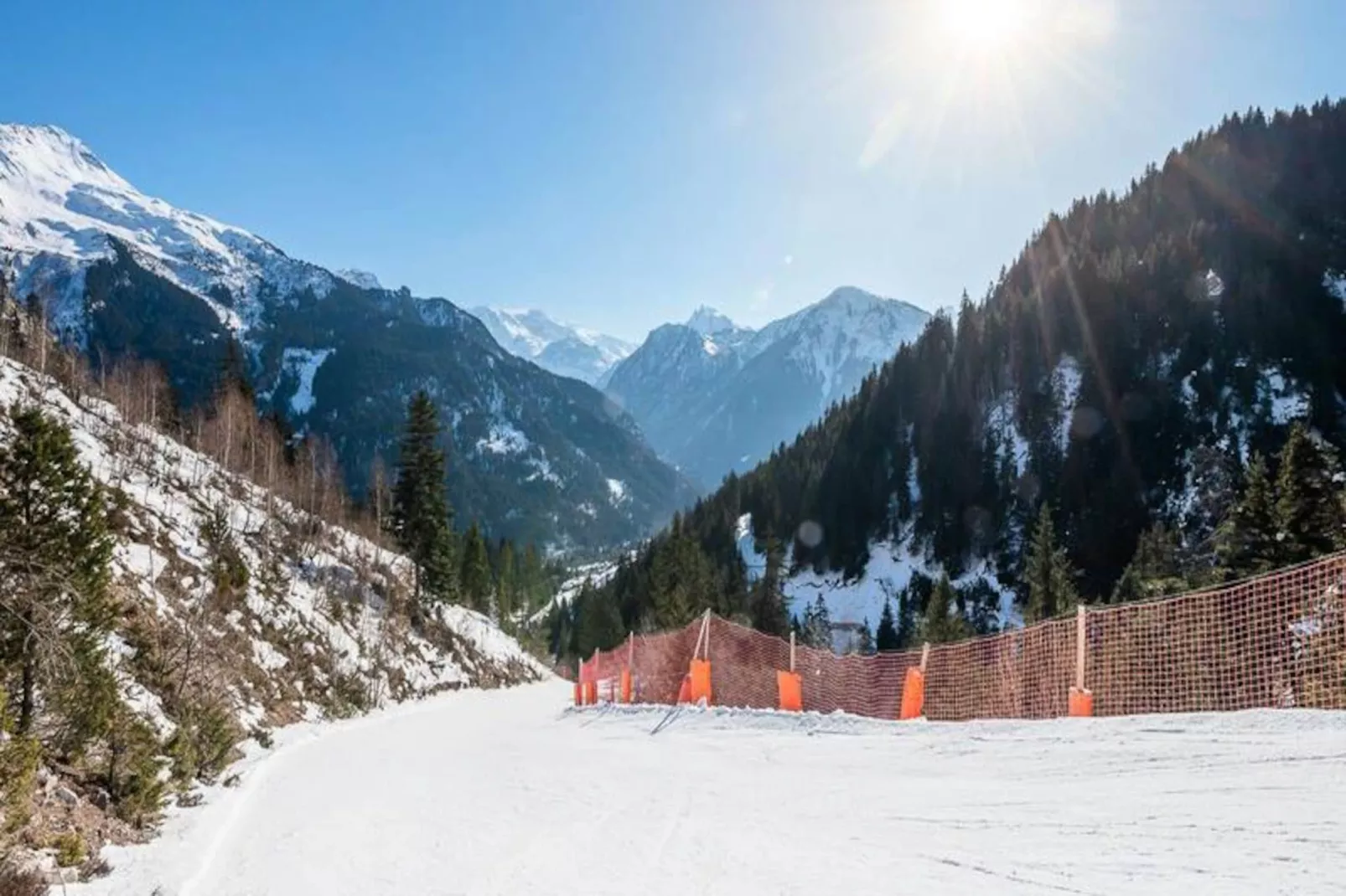 Résidence Le Roselin-Image-tags.