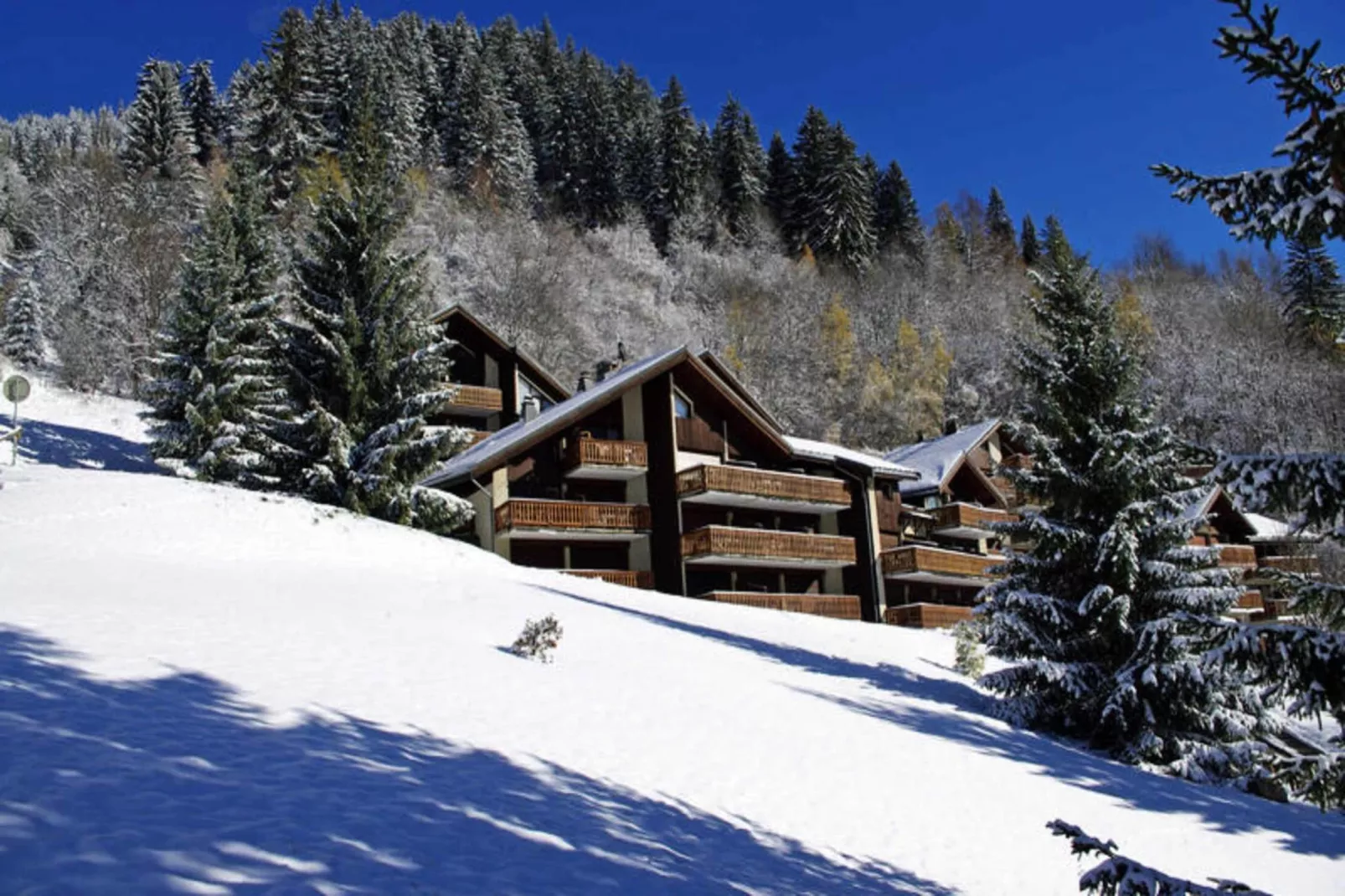 Résidence Campanule - Les Hauts De Planchamp-Buitenkant zomer