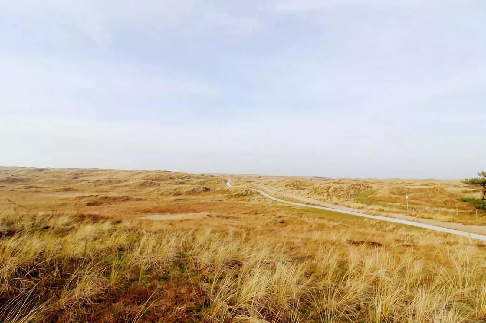 Duinchalet C142-Gebieden zomer 5km
