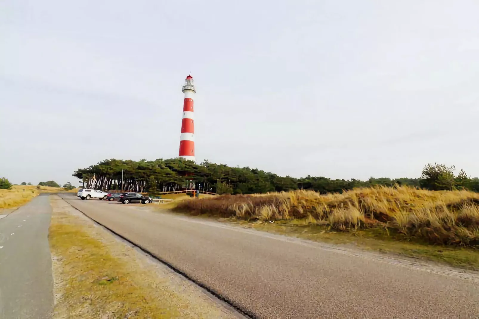 Duinchalet C142-Gebieden zomer 20km