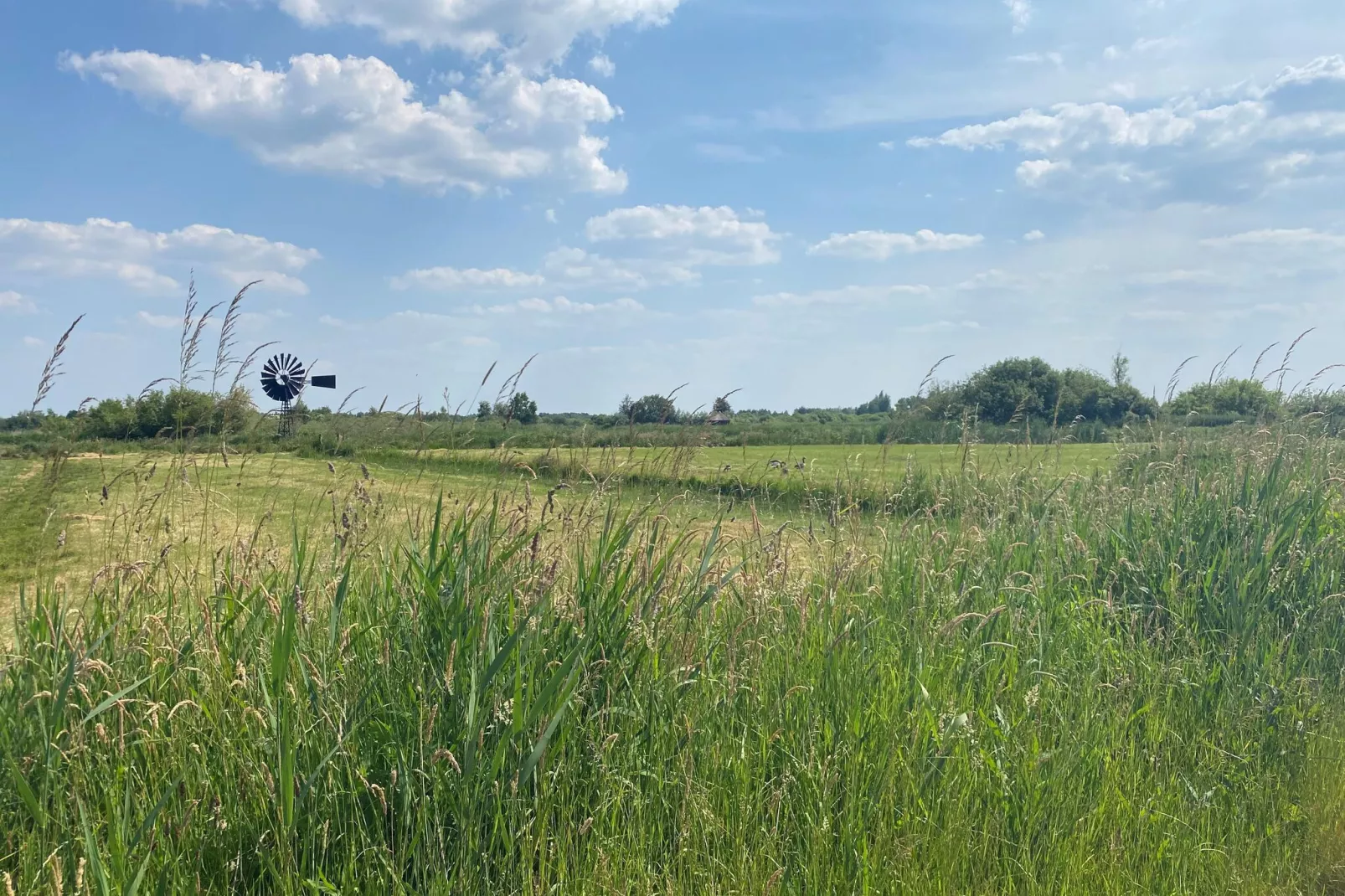 Chalet Imke-Gebieden zomer 5km