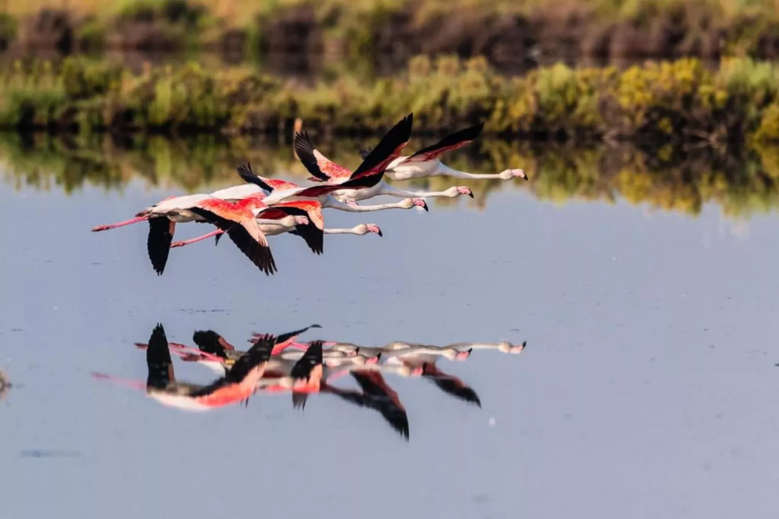 Villa Francesca-Gebieden zomer 5km