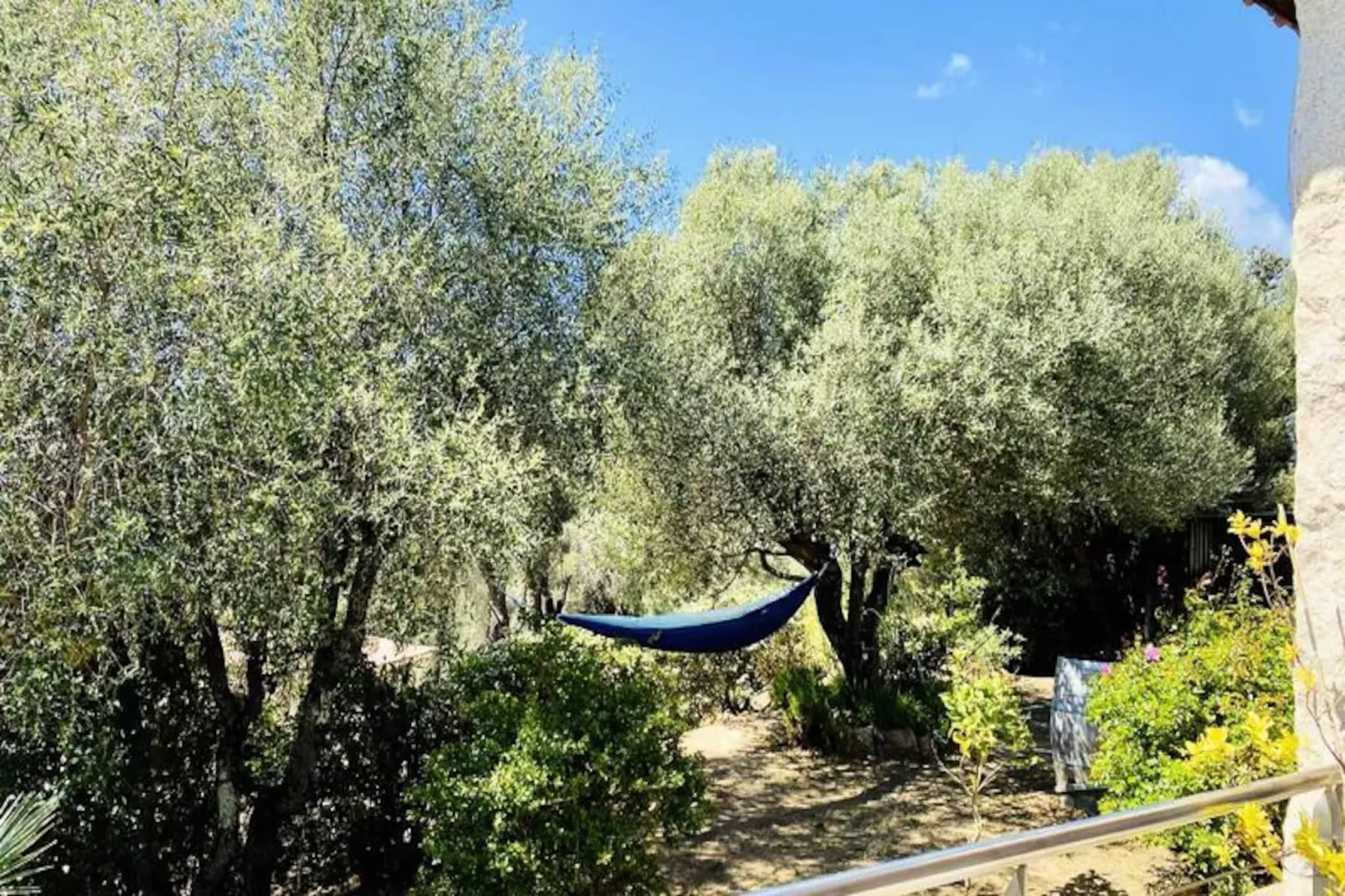 Résidence Hsain001-olmeto-Image-tags.