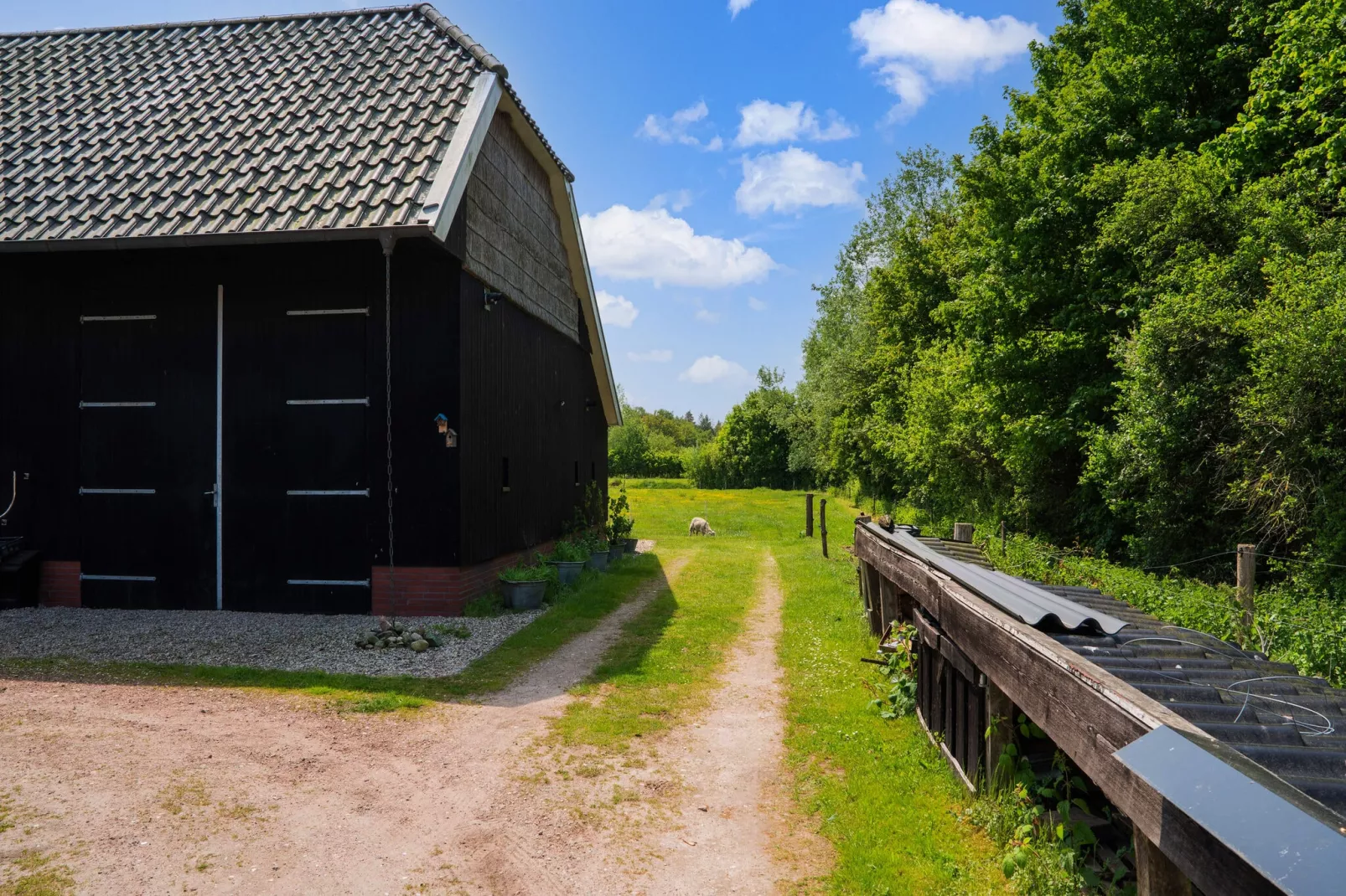 Natuurhuis Dichtbij-Buitenkant zomer