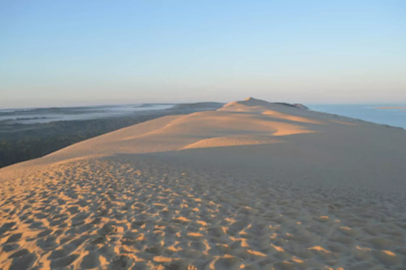 Résidence La Croisette-Buitenkant zomer