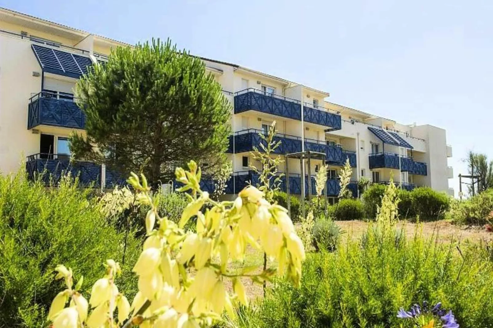 Résidence Bleu Marine - maeva Home-Tuinen zomer