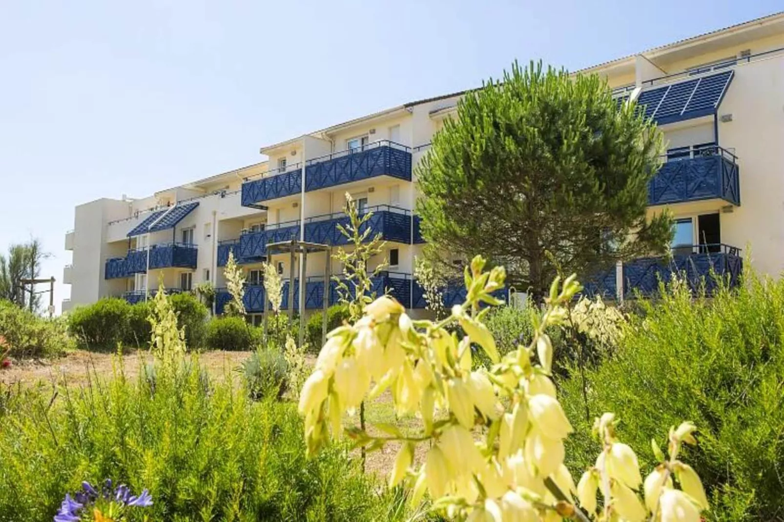 Résidence Bleu Marine - maeva Home-Buitenkant zomer