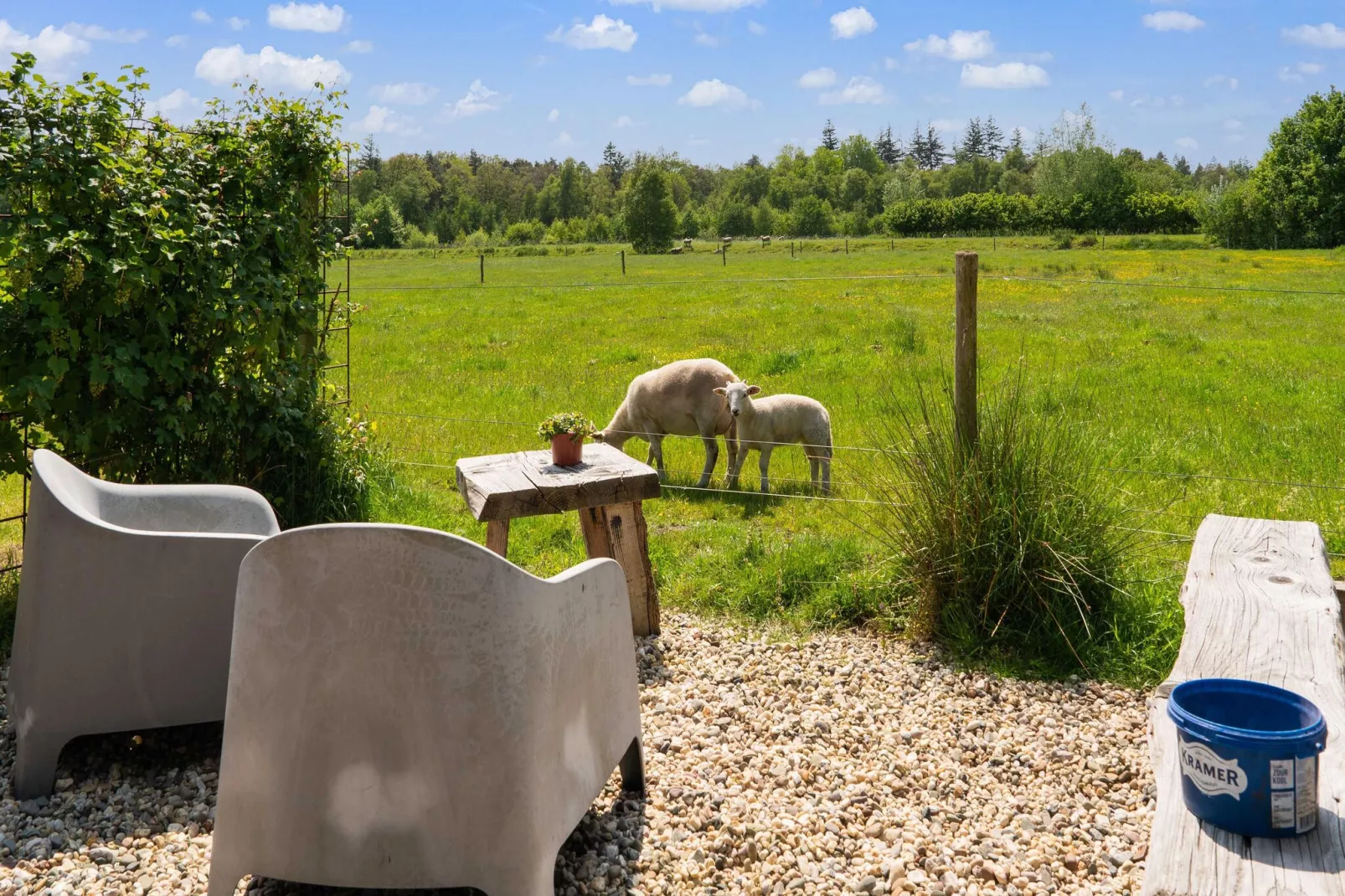 Natuurhuis Dichtbij-Tuinen zomer