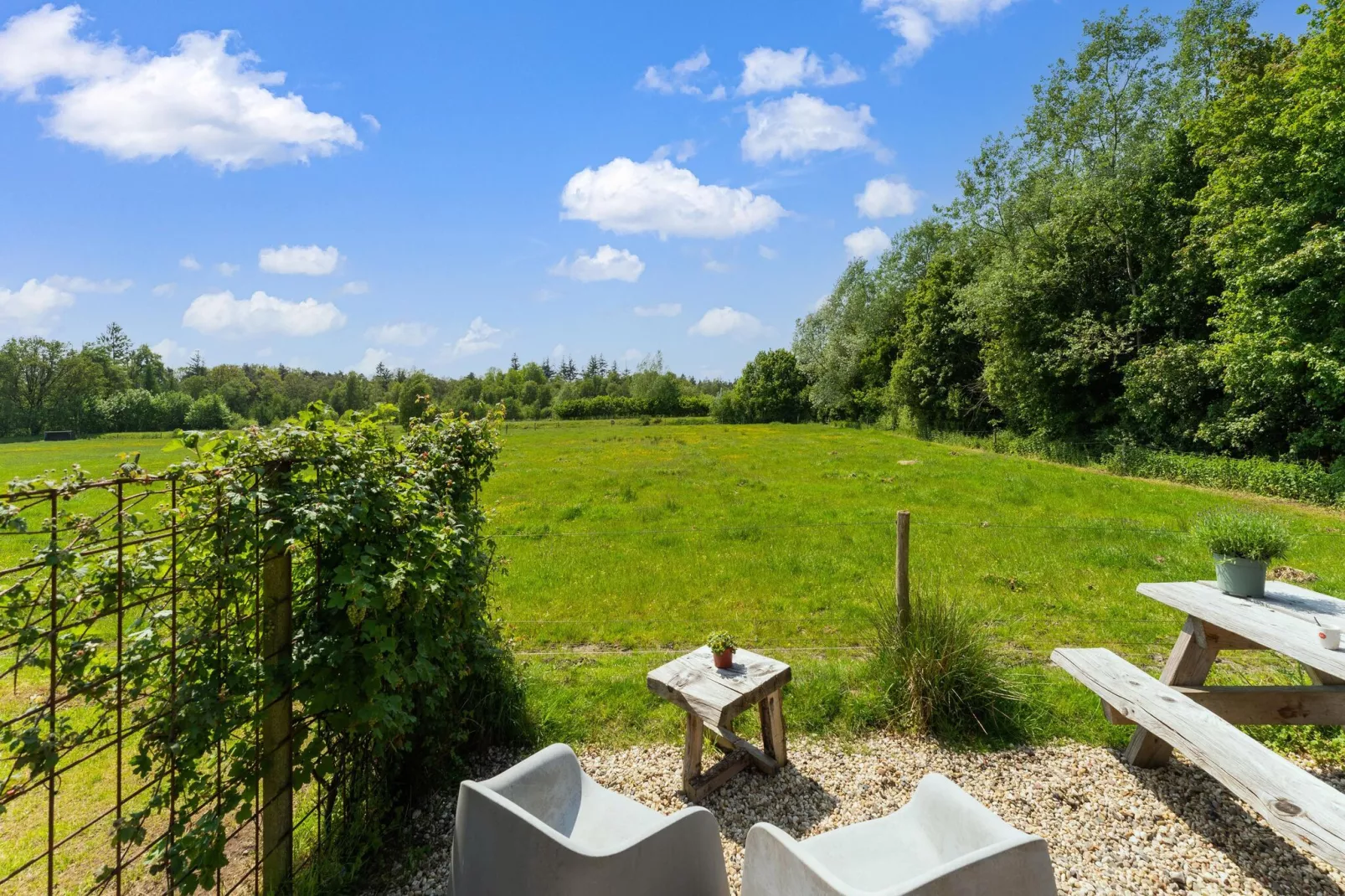 Natuurhuis Dichtbij-Uitzicht zomer