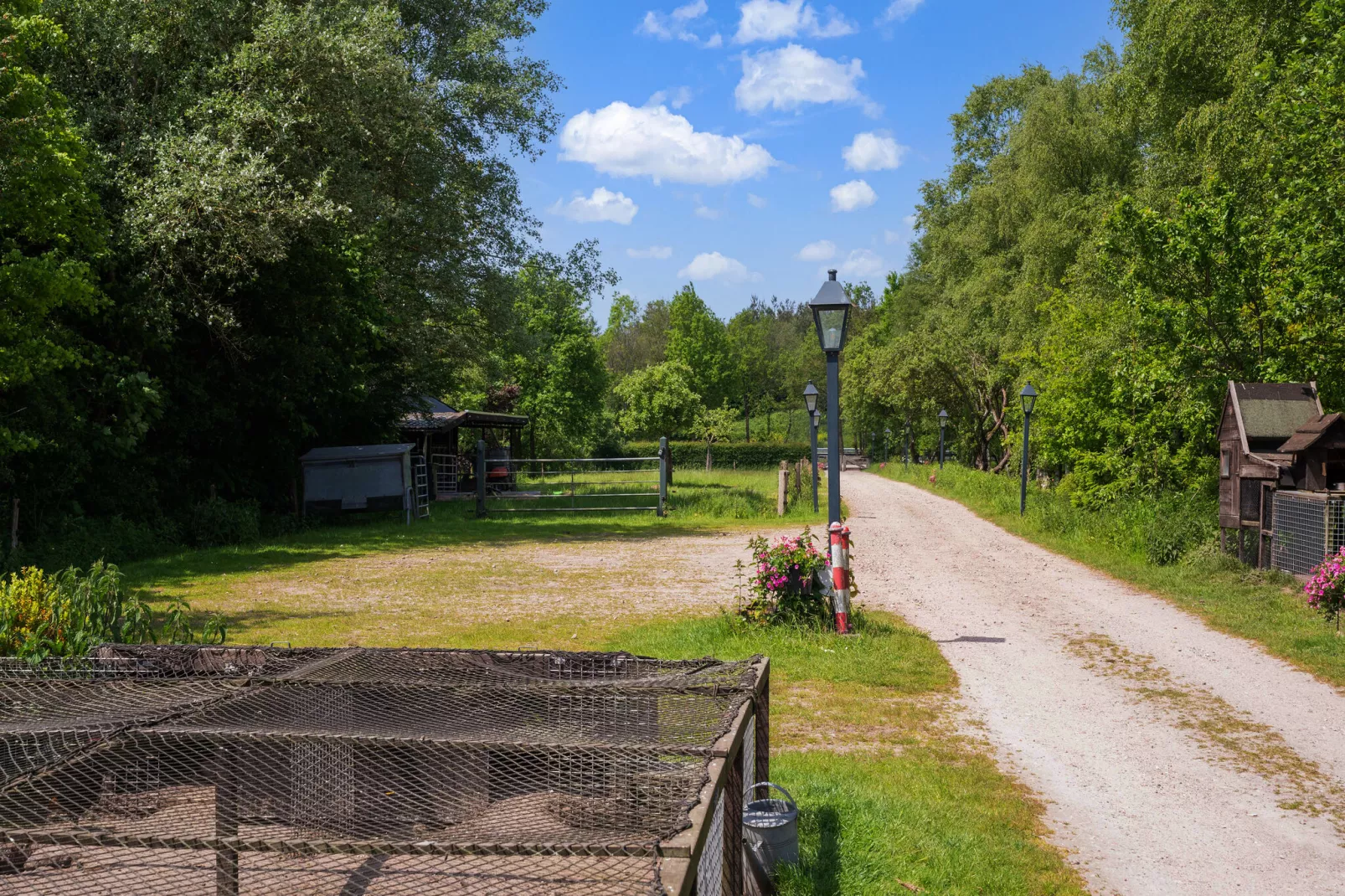 Natuurhuis Dichtbij-Gebieden zomer 1km