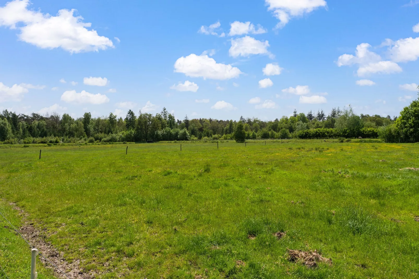 Natuurhuis Dichtbij-Gebieden zomer 5km