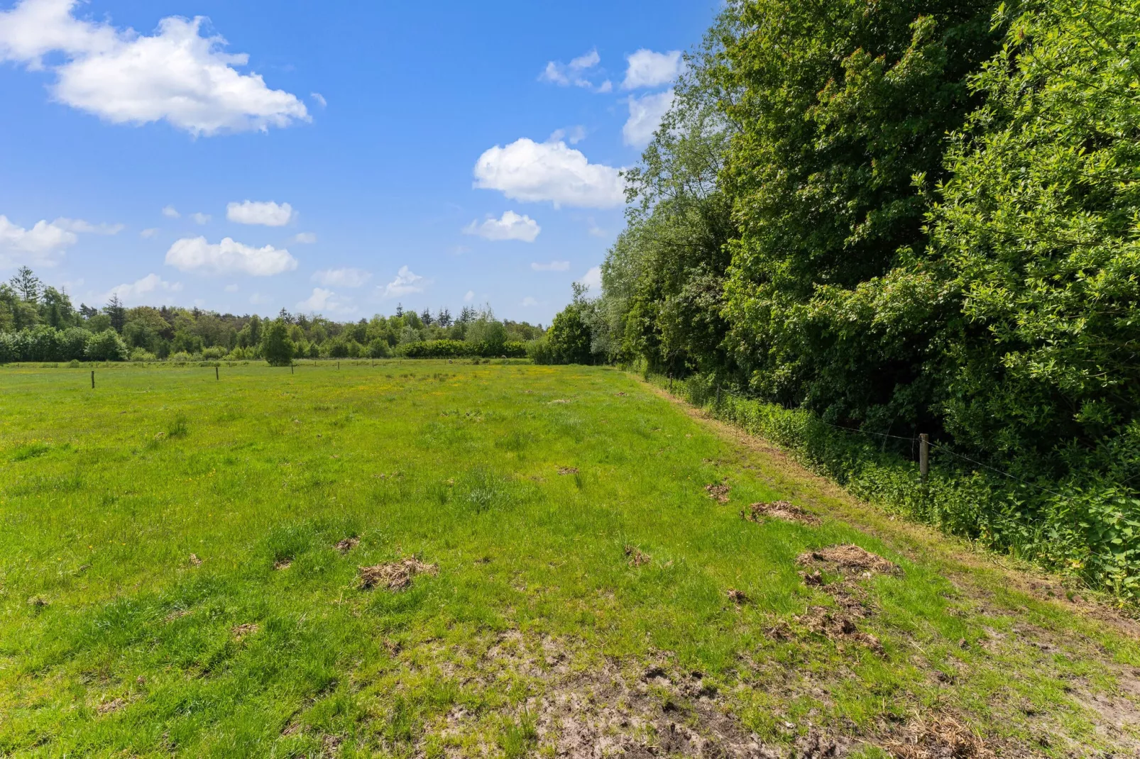 Natuurhuis Dichtbij-Gebieden zomer 5km