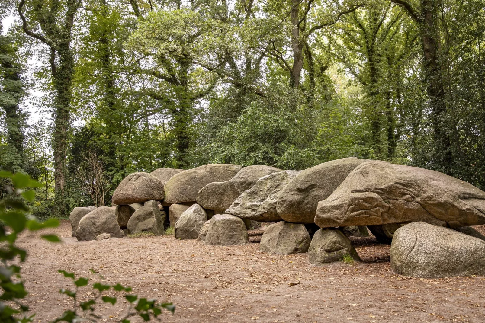 Vakantiepark Hunzedal 16-Gebieden zomer 1km